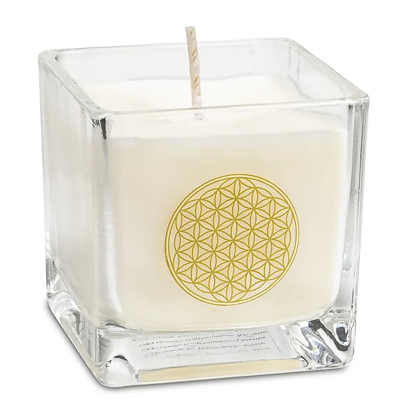 Scented candle, 100% vegetable-based, eco-friendly rapeseed wax (recycled glass) with beautiful designs. 6x6 cm - 88 grams - 25 burning time. Handmade in Belgium, with paraben-free fragrance oils.