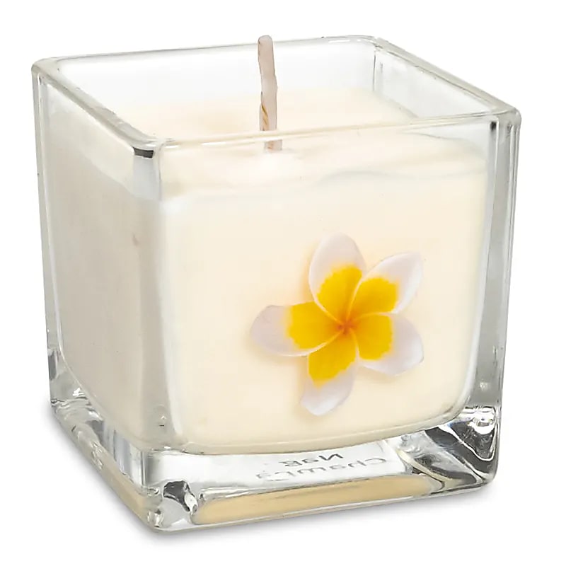 Scented candle, 100% vegetable-based, eco-friendly rapeseed wax (recycled glass) with beautiful designs. 6x6 cm - 88 grams - 25 burning time. Handmade in Belgium, with paraben-free fragrance oils.