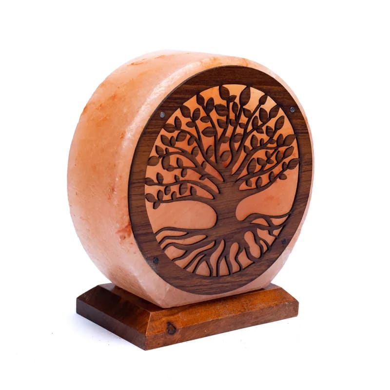 Lampe 'Arbre de vie' en sel rose de l'Himalaya. Crée une atmosphère de pièce pure et agréable. La lumière diffuse donne une lueur chaleureuse et une sensation harmonieuse. ± 22x19x10/ 5 kgs