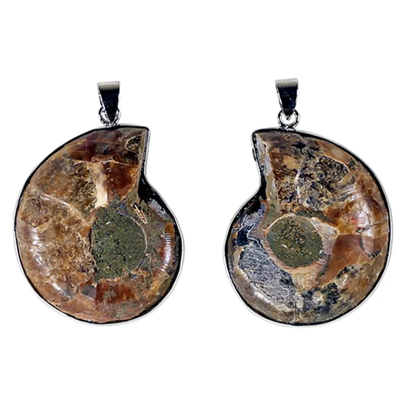Joli pendentif en fossile d'Ammonite avec une structure de métal (laiton). Environ 3,5 centimètres de diamètre ! Vendu avec ou sans cordon noir et réglable de 60 cm !