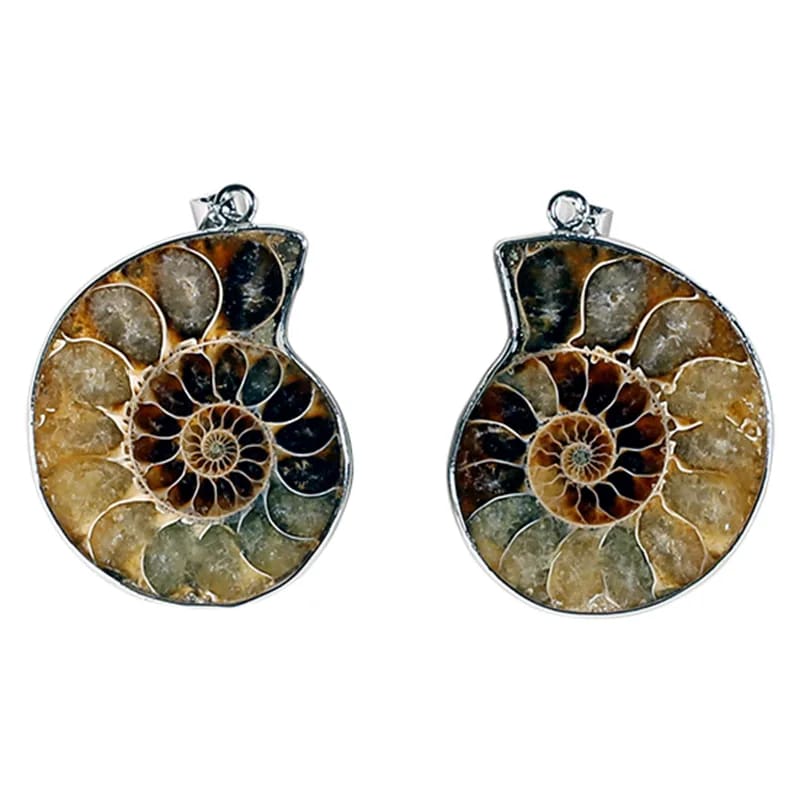 Joli pendentif en fossile d'Ammonite avec une structure de métal (laiton). Environ 3,5 centimètres de diamètre ! Vendu avec ou sans cordon noir et réglable de 60 cm !