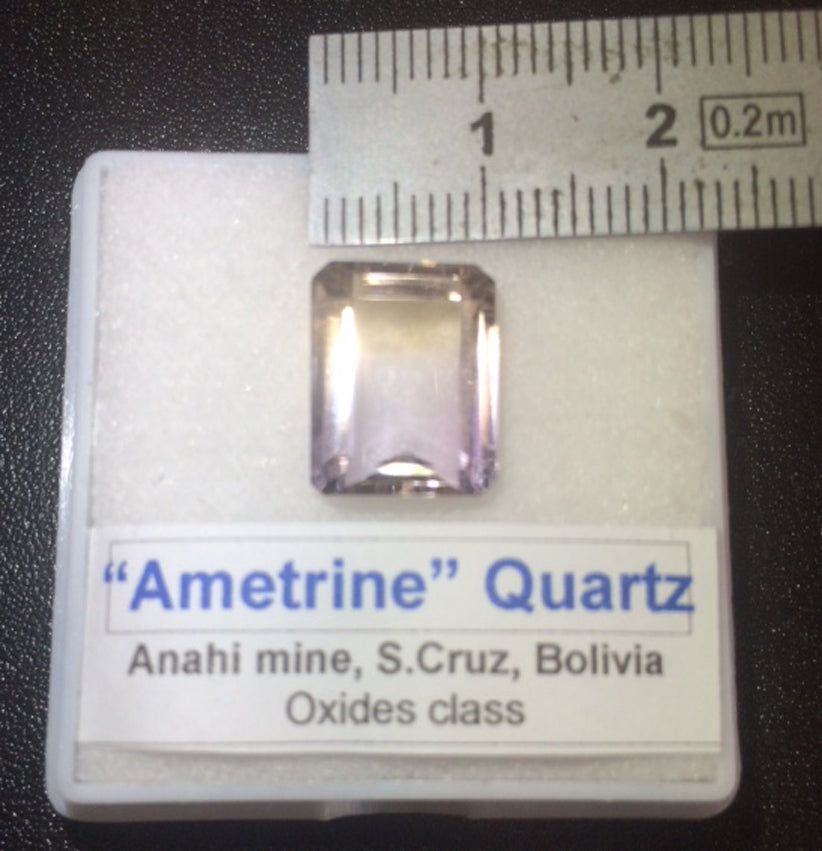 'Genuine' ammolites, 2 pieces to choose from 0.9x0.4x0.1 to 12x0.5x0.2 mm, magnificent multi-colored reflections, very beautiful pieces, perfect for jewelry, collection, exhibition...!