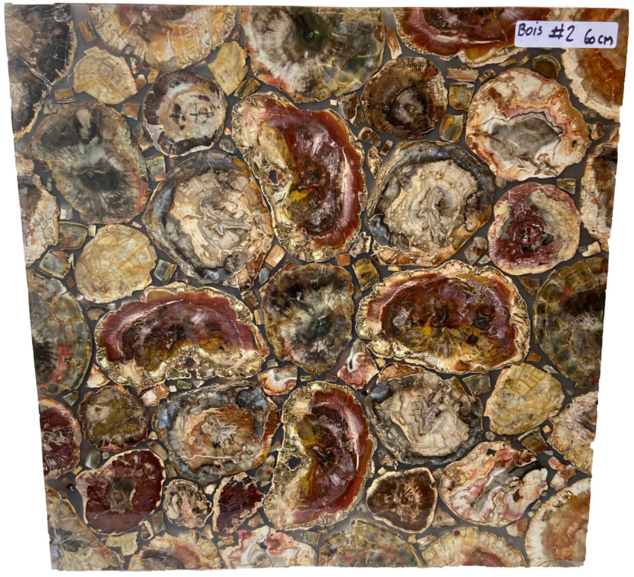 Table carré en tranches de Bois Fossile, 60 x 60 x 3 cm. Parfait pour fabriquer la table de vos rêves ou en décoration, exposition...