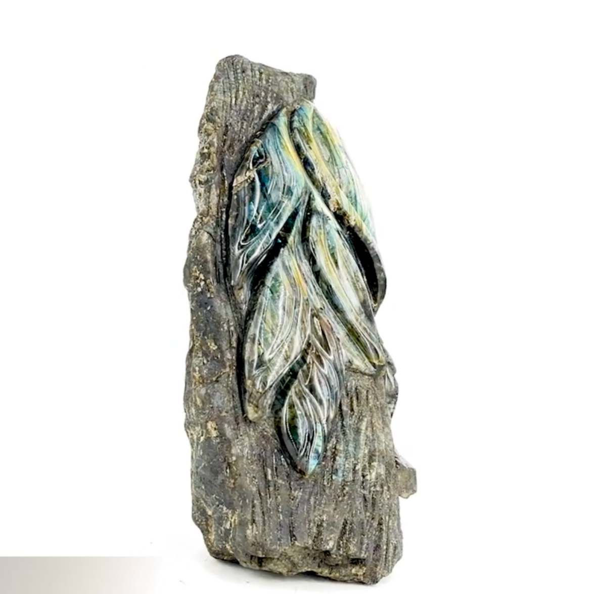 Labradorite, forme libre sculpté de feuilles, de 320 x 160 x 110 mm - 10,56 kgs. Parfait en décoration, exposition...