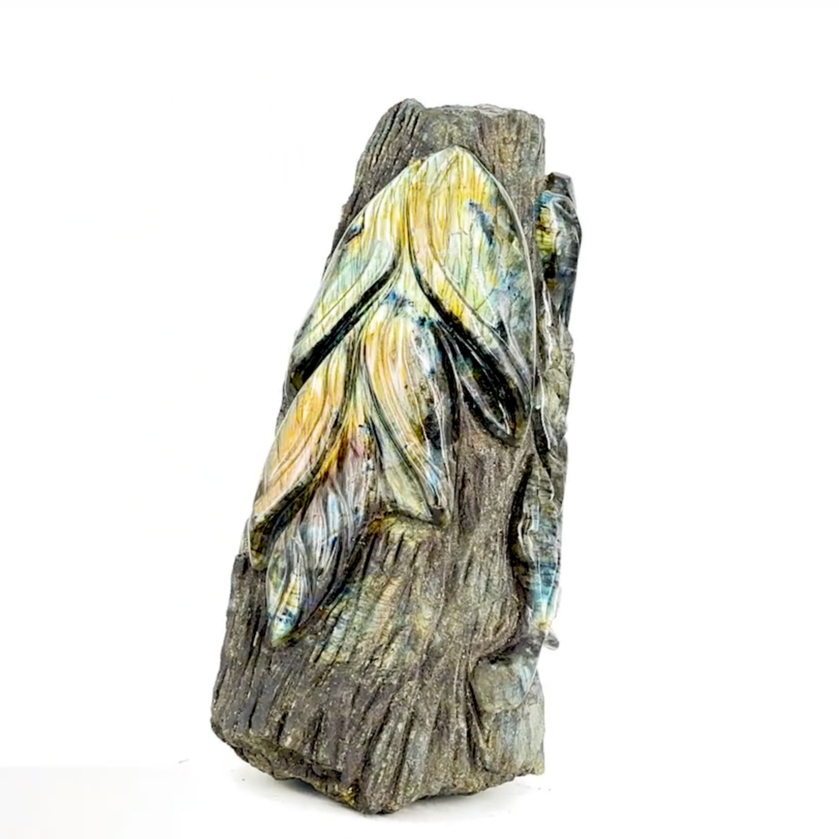 Labradorite, forme libre sculpté de feuilles, de 320 x 160 x 110 mm - 10,56 kgs. Parfait en décoration, exposition...
