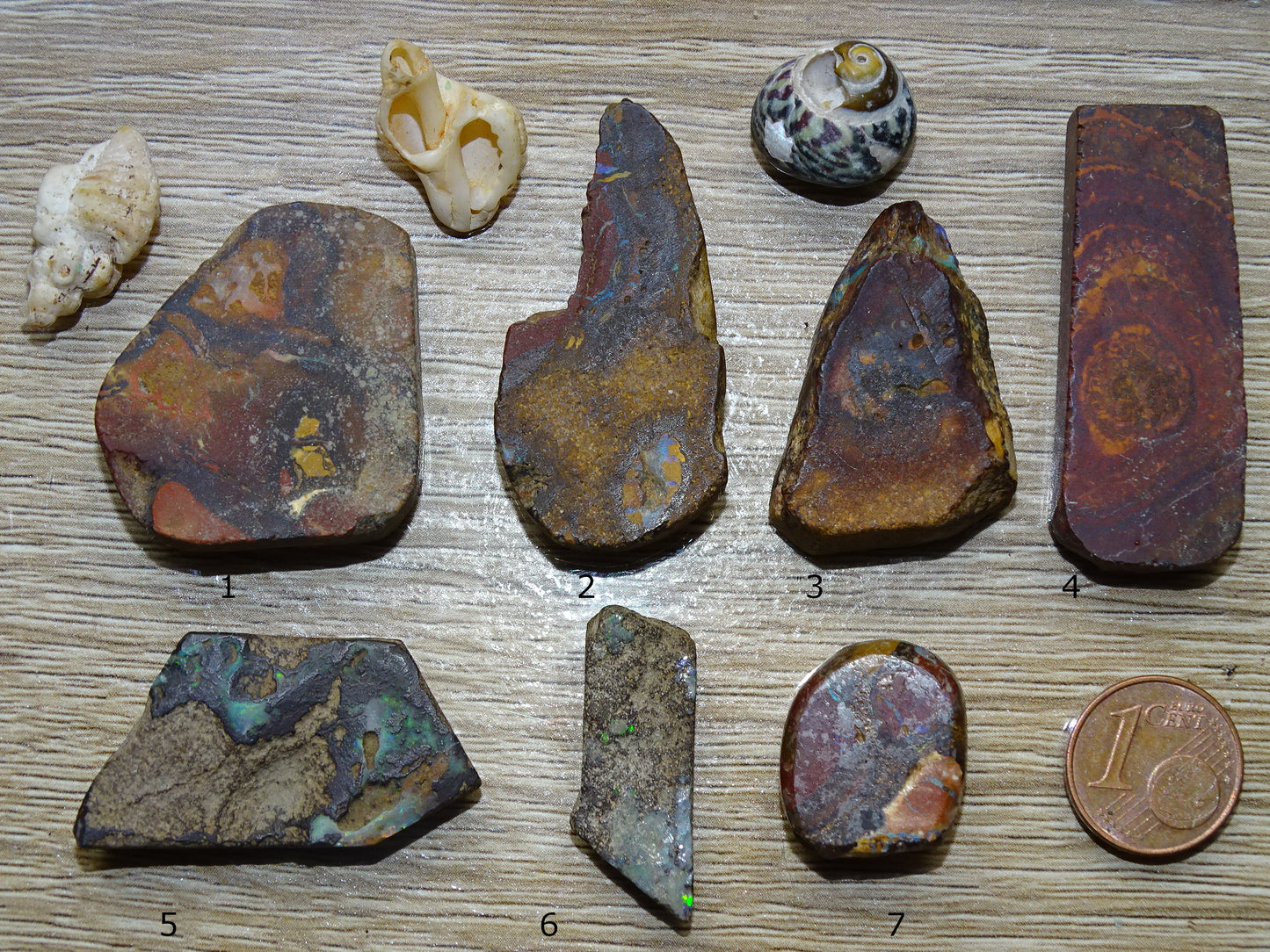 Boulder Opal from Australia, specimens to choose from. Opal is fascinating and captivating! The ultimate in stones, perfect!