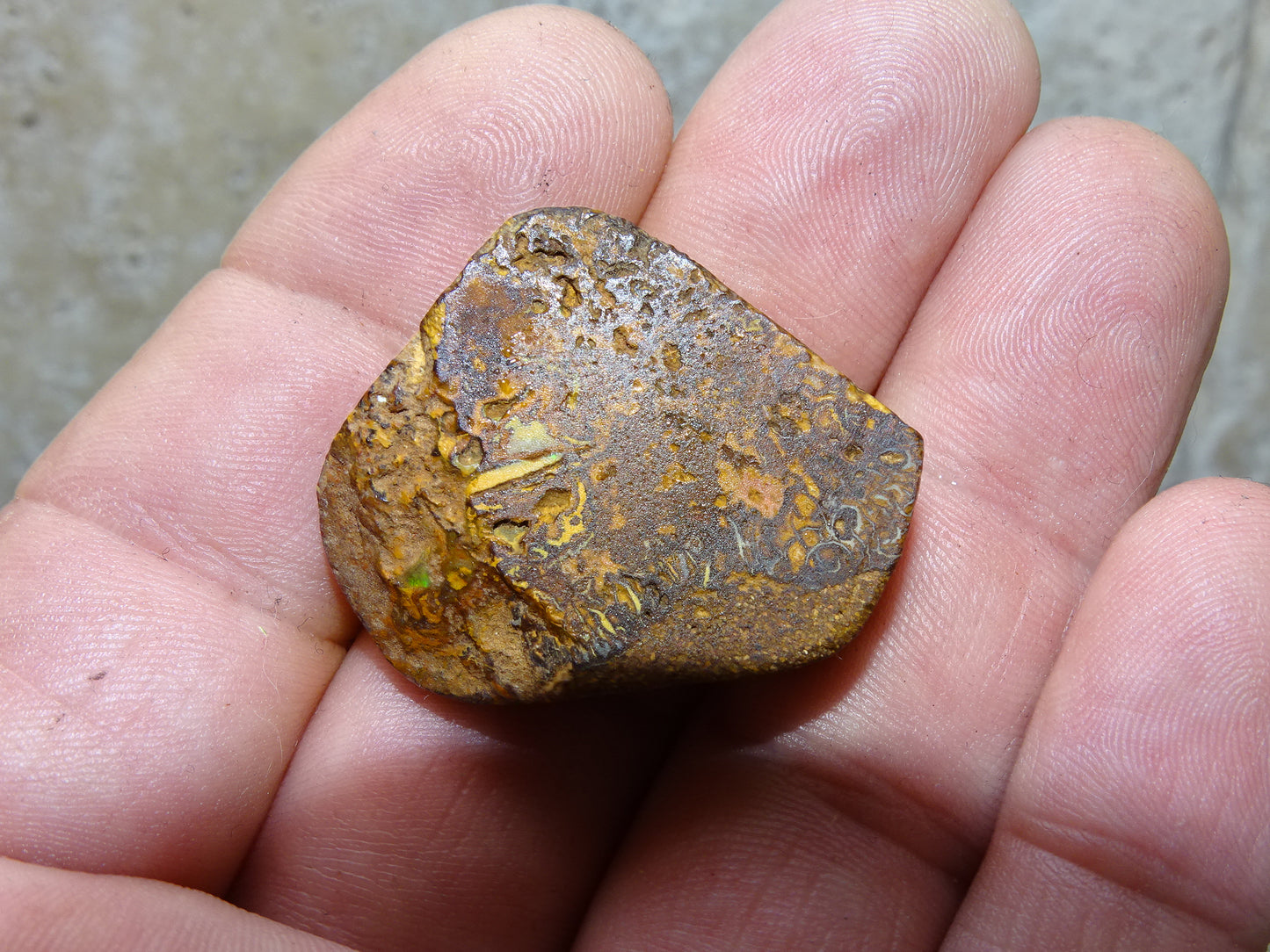 Boulder Opal from Australia, specimens to choose from. Opal is fascinating and captivating! The ultimate in stones, perfect!