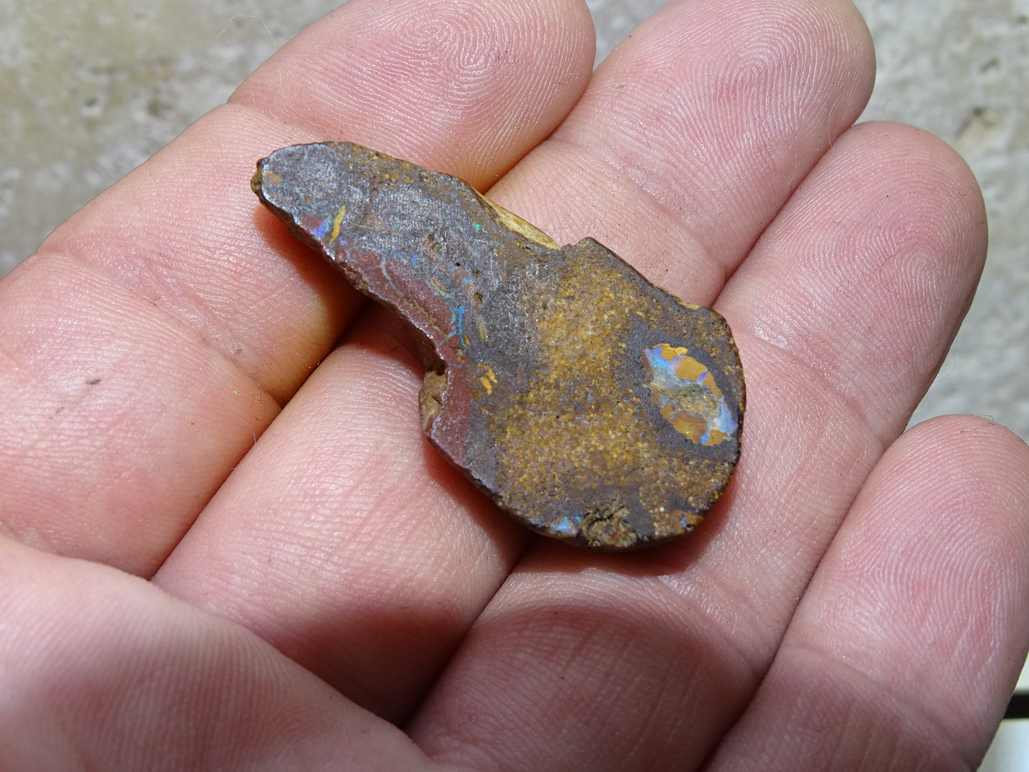 Boulder Opal from Australia, specimens to choose from. Opal is fascinating and captivating! The ultimate in stones, perfect!
