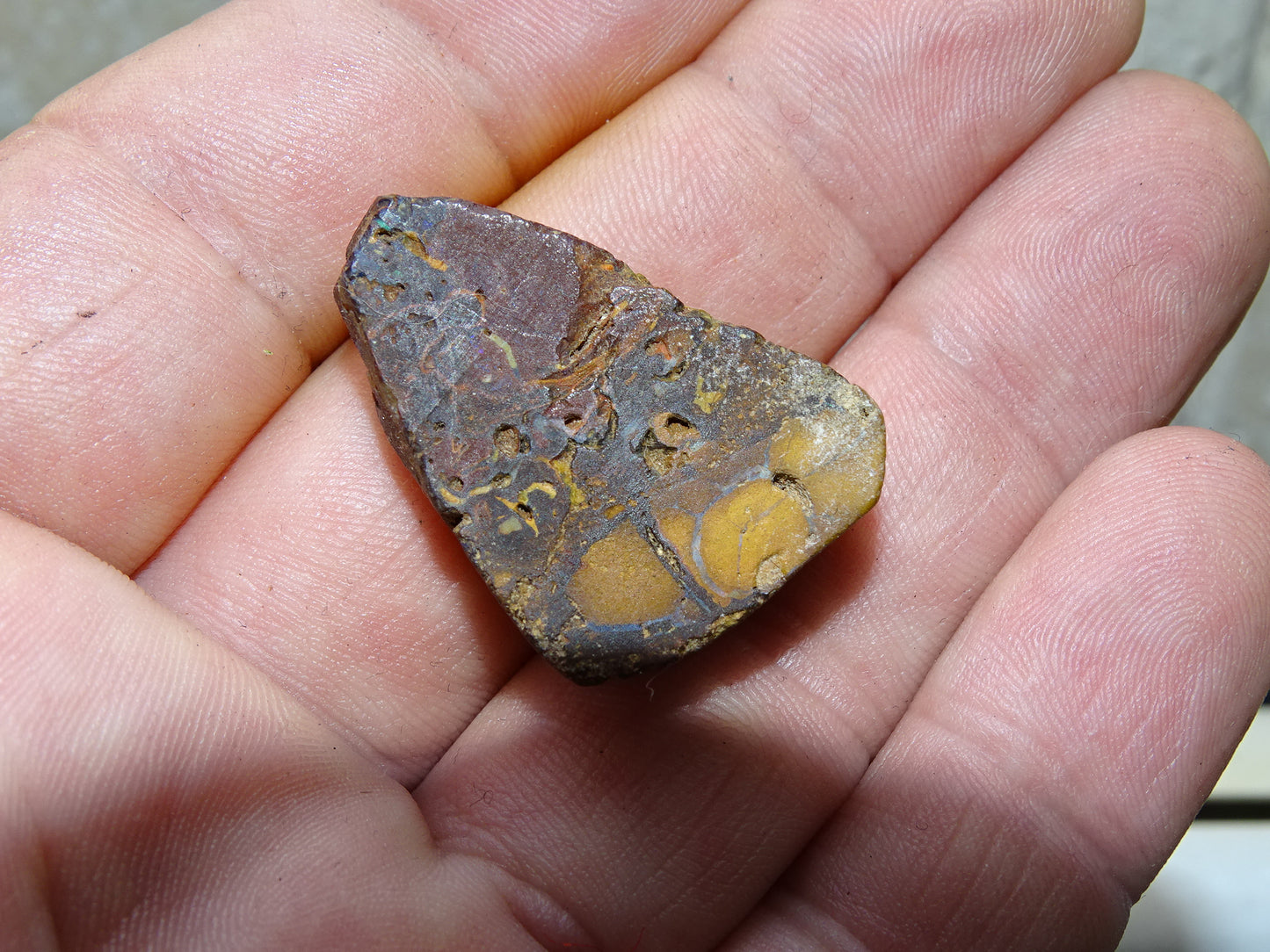 Boulder Opal from Australia, specimens to choose from. Opal is fascinating and captivating! The ultimate in stones, perfect!