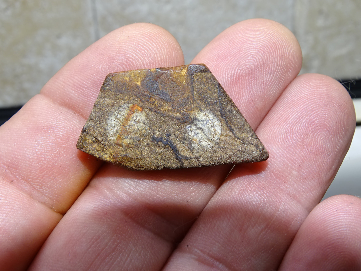 Boulder Opal from Australia, specimens to choose from. Opal is fascinating and captivating! The ultimate in stones, perfect!