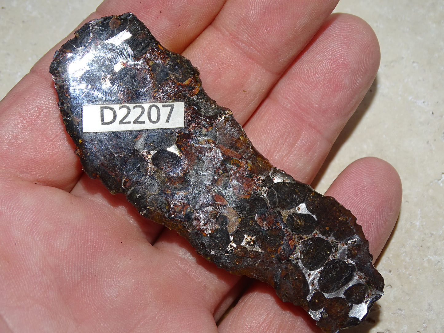 Sélection de météorites Pallasites Sericho, de 6 à 40 gr. Se distinguent par la présence de gros cristaux d'olivine en inclusion dans la matrice, magnifique !