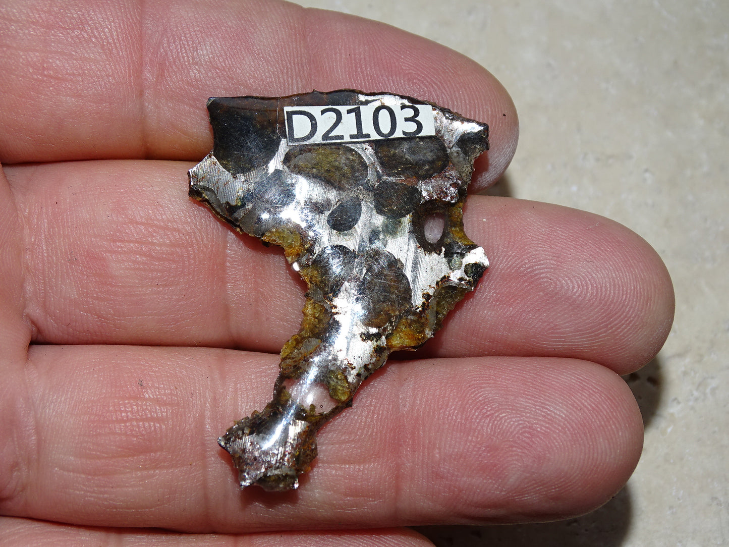 Sélection de météorites Pallasites Sericho, de 6 à 40 gr. Se distinguent par la présence de gros cristaux d'olivine en inclusion dans la matrice, magnifique !