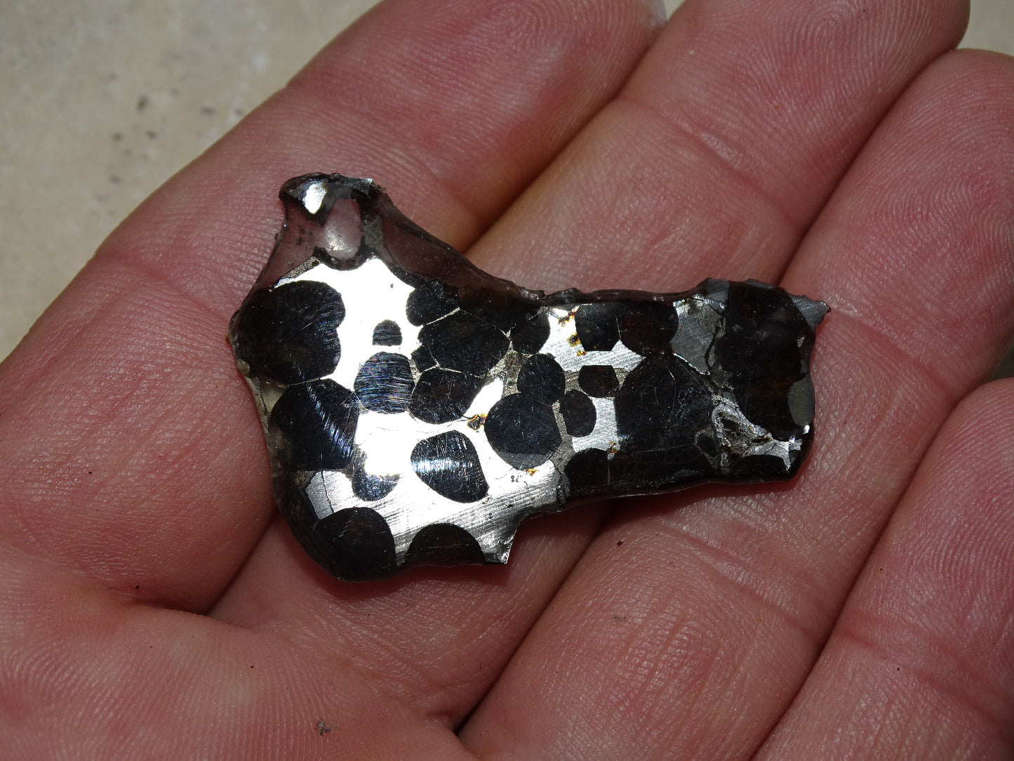 Sélection de météorites Pallasites Sericho, de 6 à 40 gr. Se distinguent par la présence de gros cristaux d'olivine en inclusion dans la matrice, magnifique !
