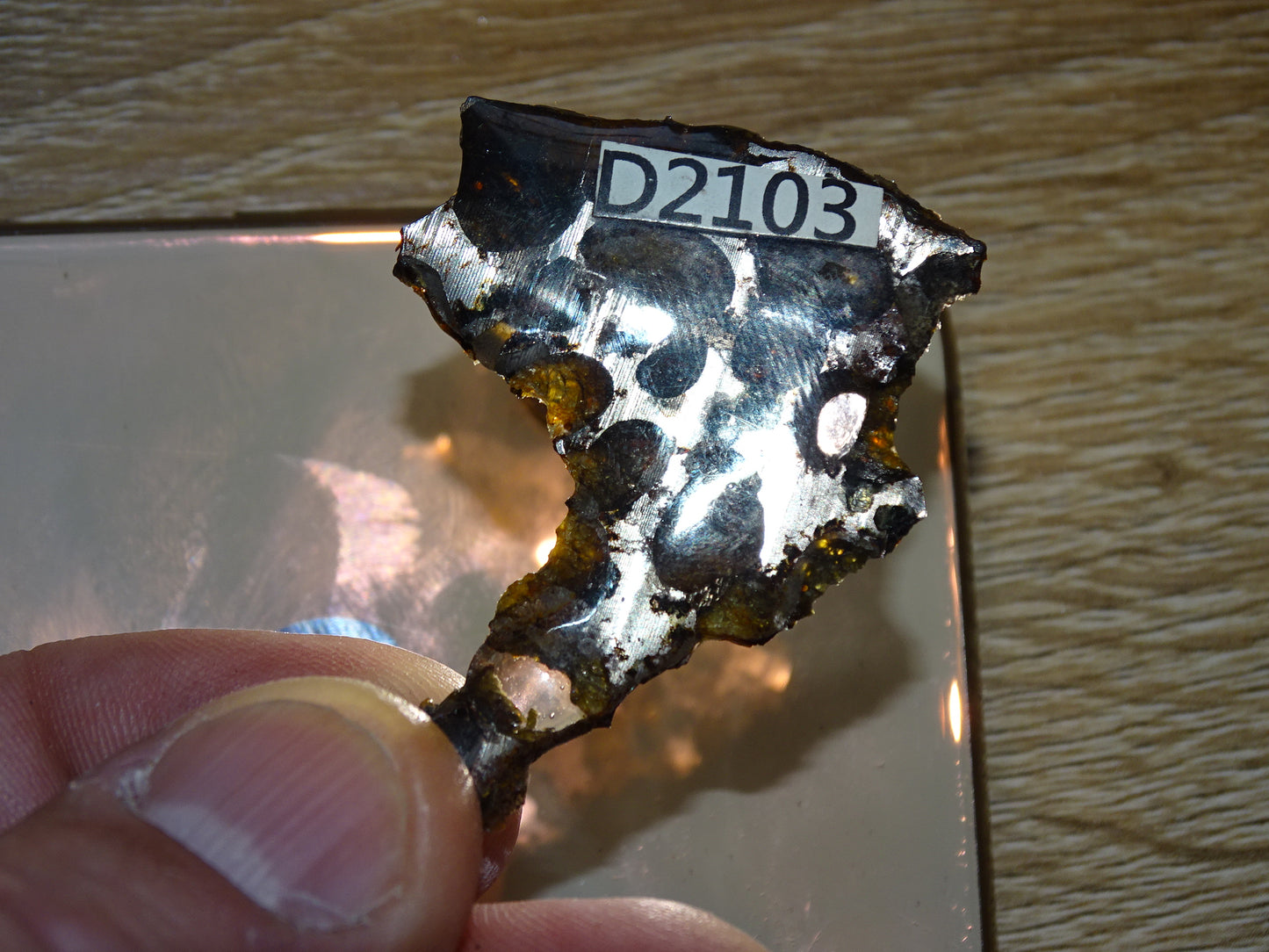Sélection de météorites Pallasites Sericho, de 6 à 40 gr. Se distinguent par la présence de gros cristaux d'olivine en inclusion dans la matrice, magnifique !