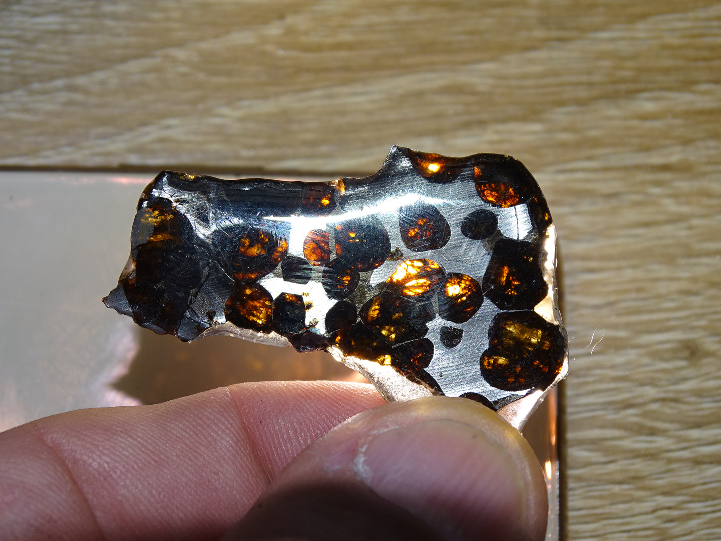 Sélection de météorites Pallasites Sericho, de 6 à 40 gr. Se distinguent par la présence de gros cristaux d'olivine en inclusion dans la matrice, magnifique !
