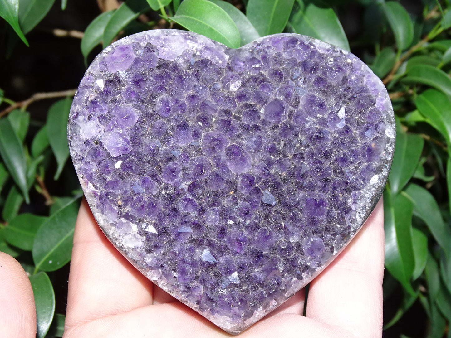 Druse en forme de coeur en amethyste, 84 x 81 x 22 millimètres - 290 grammes. Un violet intense, parfait pour recharger des minéraux, magnifique pièce !
