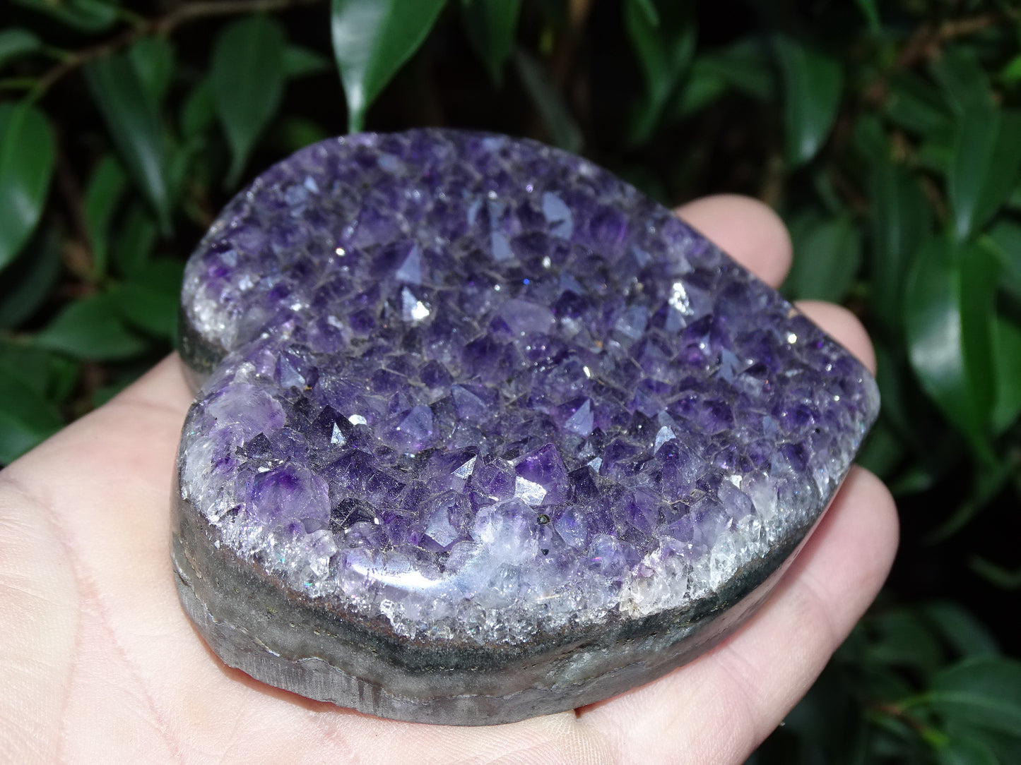 Druse en forme de coeur en amethyste, 84 x 81 x 22 millimètres - 290 grammes. Un violet intense, parfait pour recharger des minéraux, magnifique pièce !