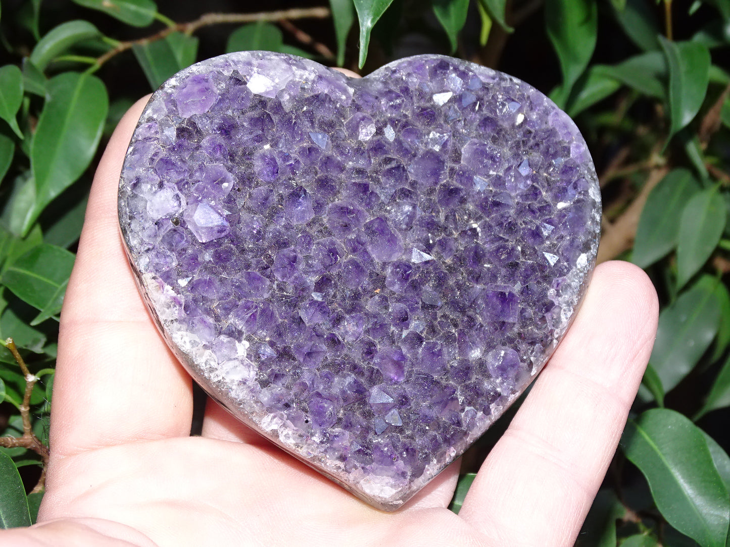 Druse en forme de coeur en amethyste, 84 x 81 x 22 millimètres - 290 grammes. Un violet intense, parfait pour recharger des minéraux, magnifique pièce !
