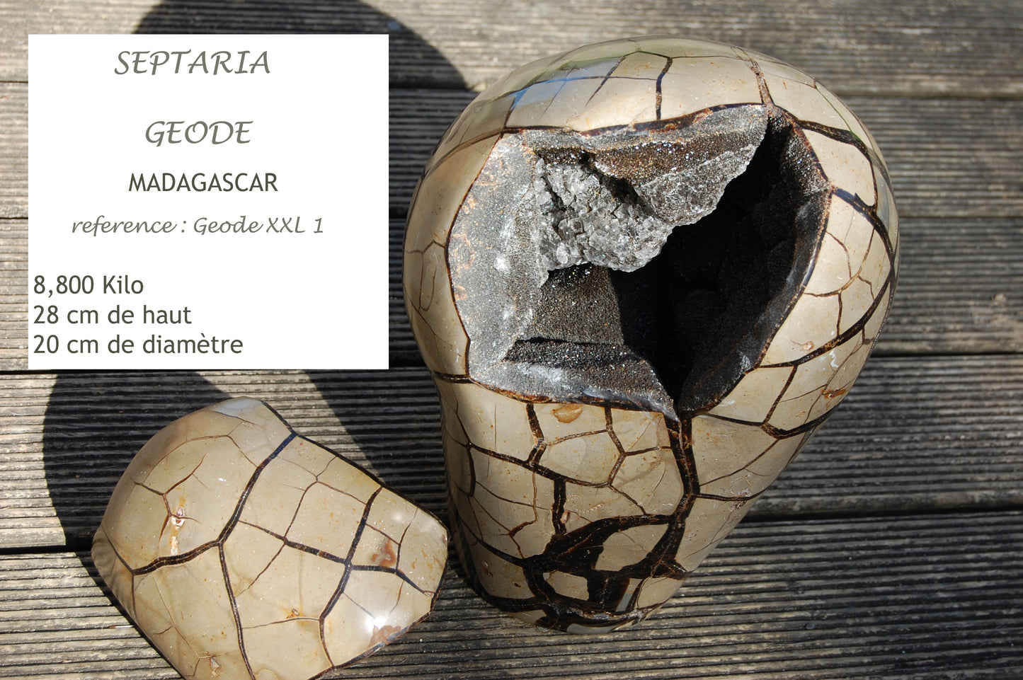 Septaria, géode entière en 2 parties, 8,8 kilogrammes, 28 x 20 x 12 centimètres de diamètre. Vendu avec socle en métal sur mesure. Superbe qualité AA, en provenance de Madagascar. Incroyables effets positifs pour vos collections, expositions...parfait !