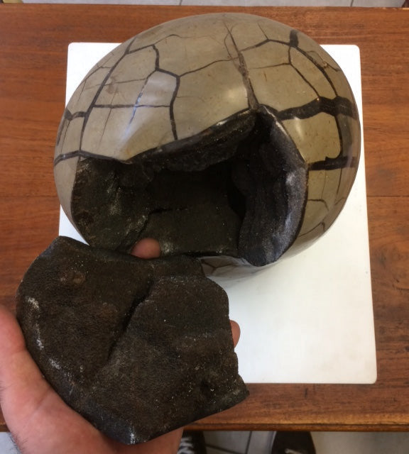 Septaria, géode entière en 2 parties, 8,8 kilogrammes, 28 x 20 x 12 centimètres de diamètre. Vendu avec socle en métal sur mesure. Superbe qualité AA, en provenance de Madagascar. Incroyables effets positifs pour vos collections, expositions...parfait !