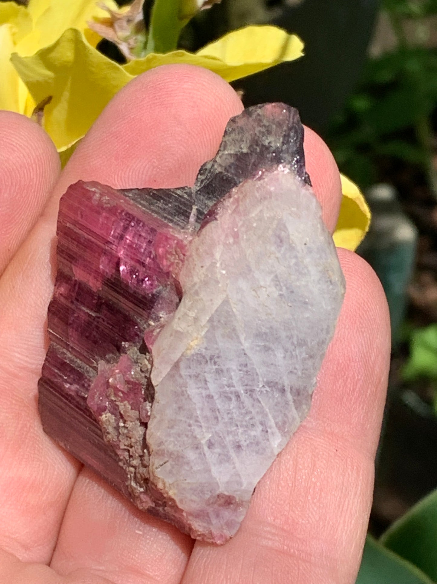 Tourmaline Rubellite, superbe spècimen naturel de 52mm x 35 x 23 - 52 grammes. Parfait en bijouterie, collection ,exposition...