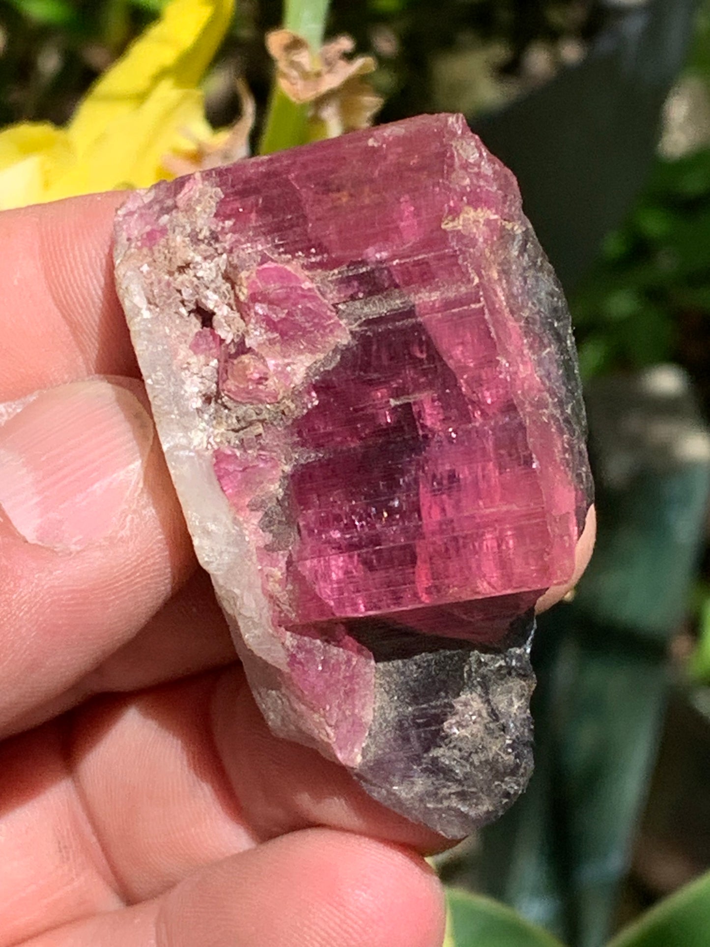 Tourmaline Rubellite, superbe spècimen naturel de 52mm x 35 x 23 - 52 grammes. Parfait en bijouterie, collection ,exposition...