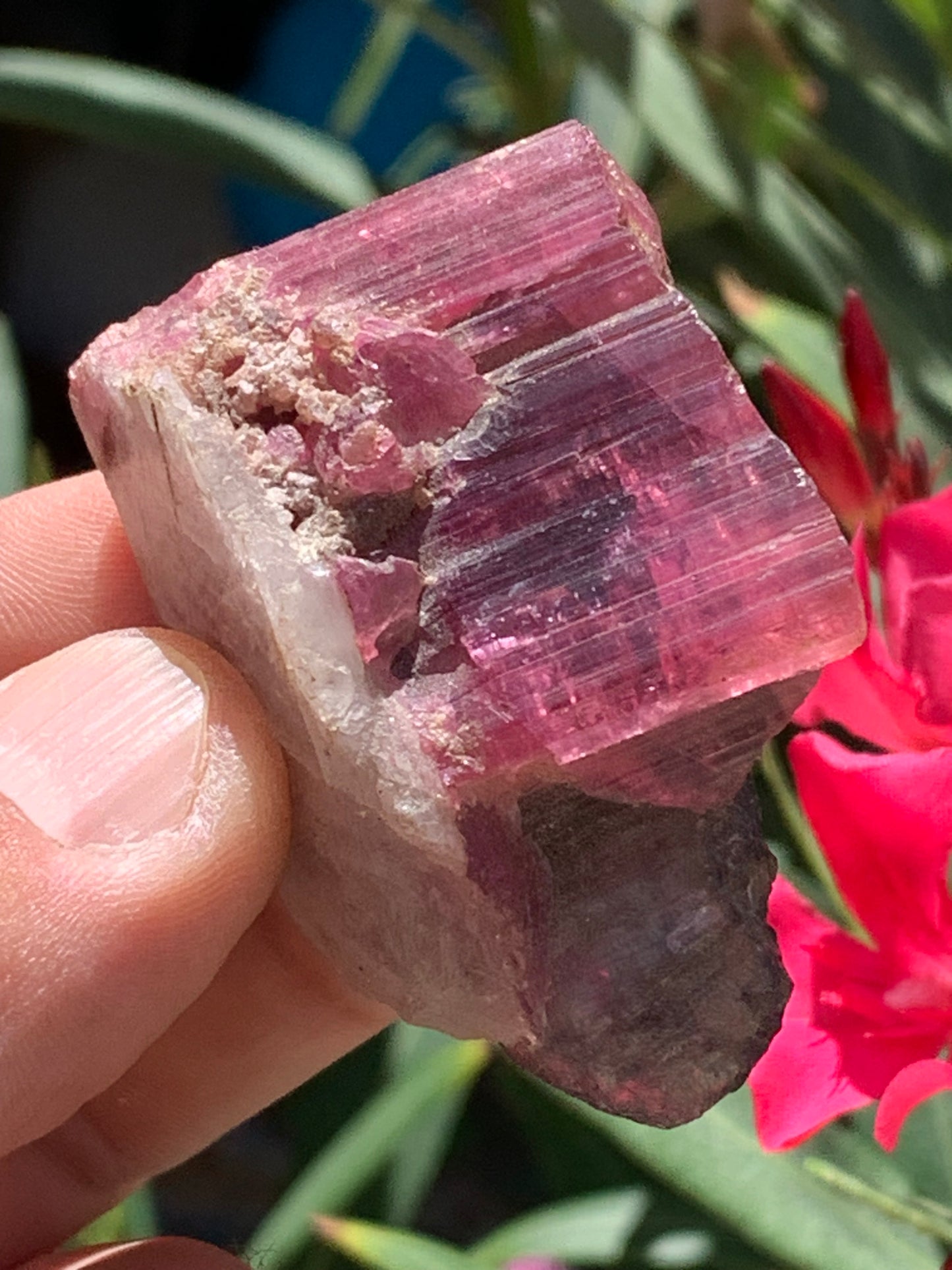 Tourmaline Rubellite, superbe spècimen naturel de 52mm x 35 x 23 - 52 grammes. Parfait en bijouterie, collection ,exposition...