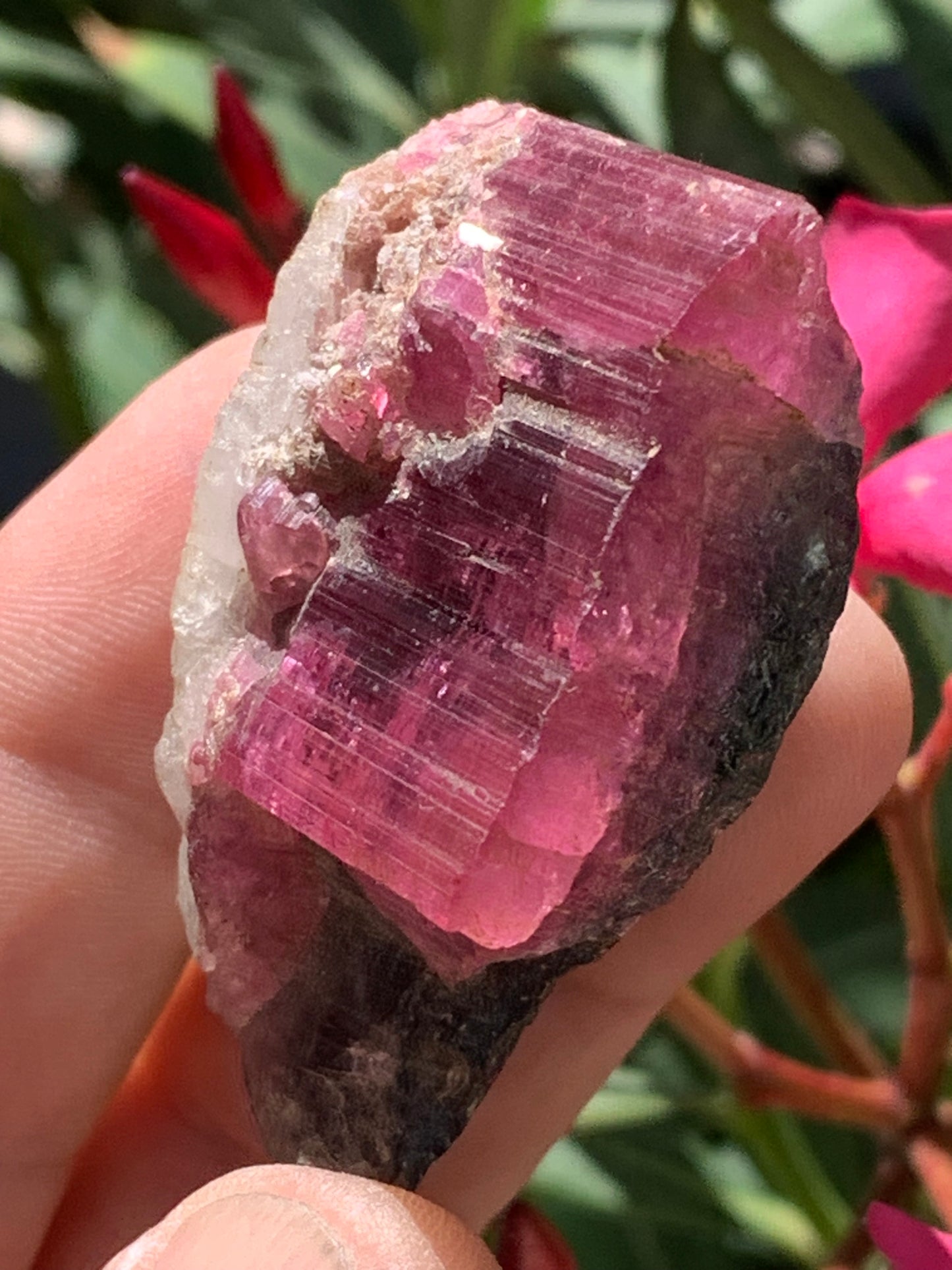 Tourmaline Rubellite, superbe spècimen naturel de 52mm x 35 x 23 - 52 grammes. Parfait en bijouterie, collection ,exposition...