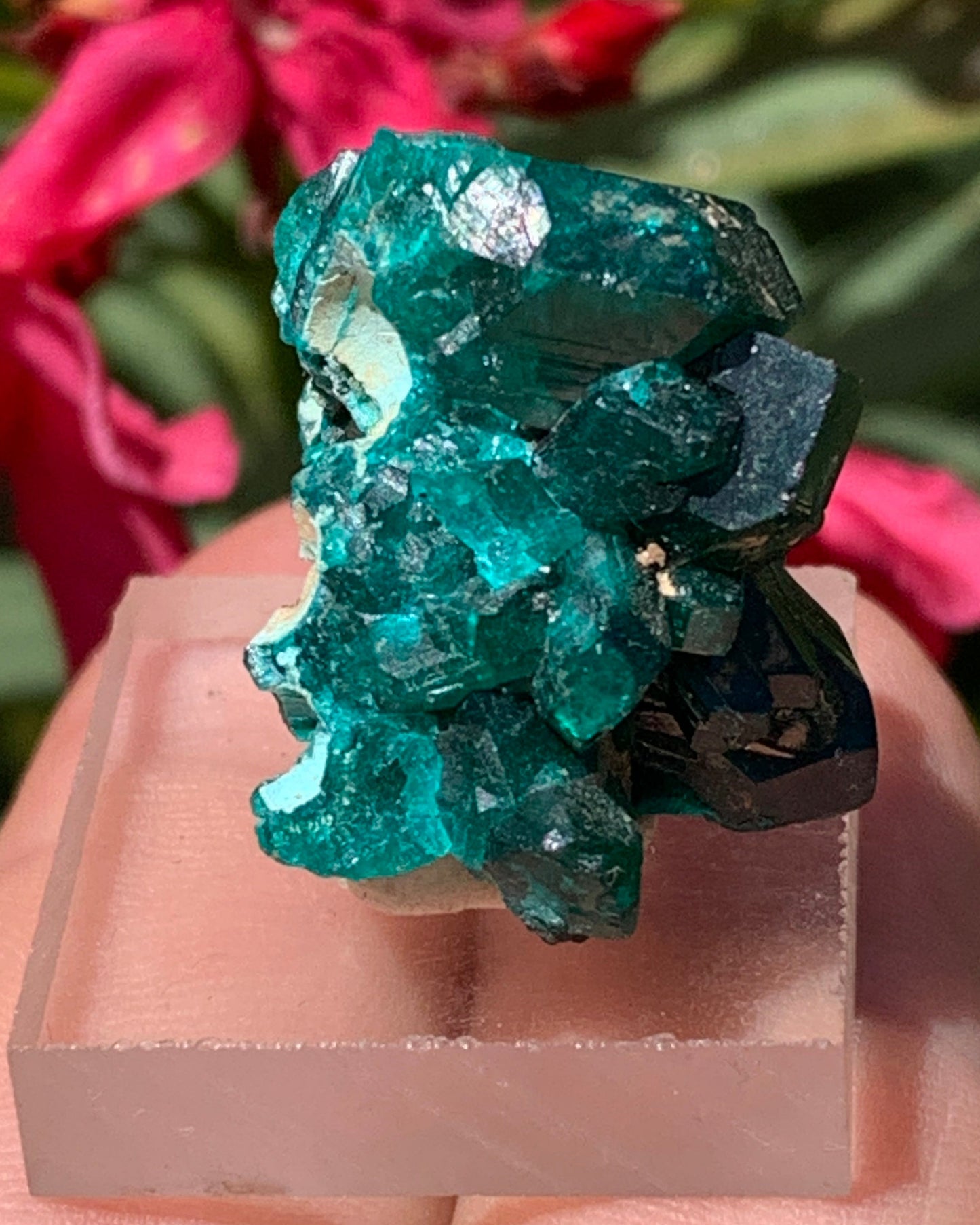Dioptase, spécimen cristalisé de 24mm x 21 x 21 - 10 grammes ! Rare et puissante en minéralogie et lithothérapie !