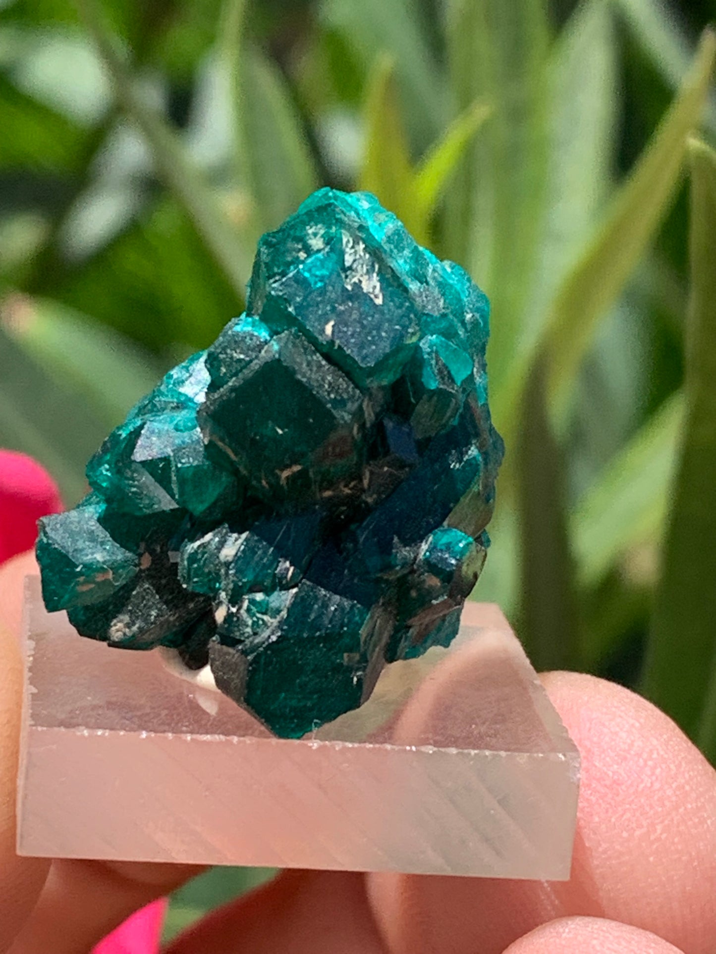 Dioptase, spécimen cristalisé de 24mm x 21 x 21 - 10 grammes ! Rare et puissante en minéralogie et lithothérapie !