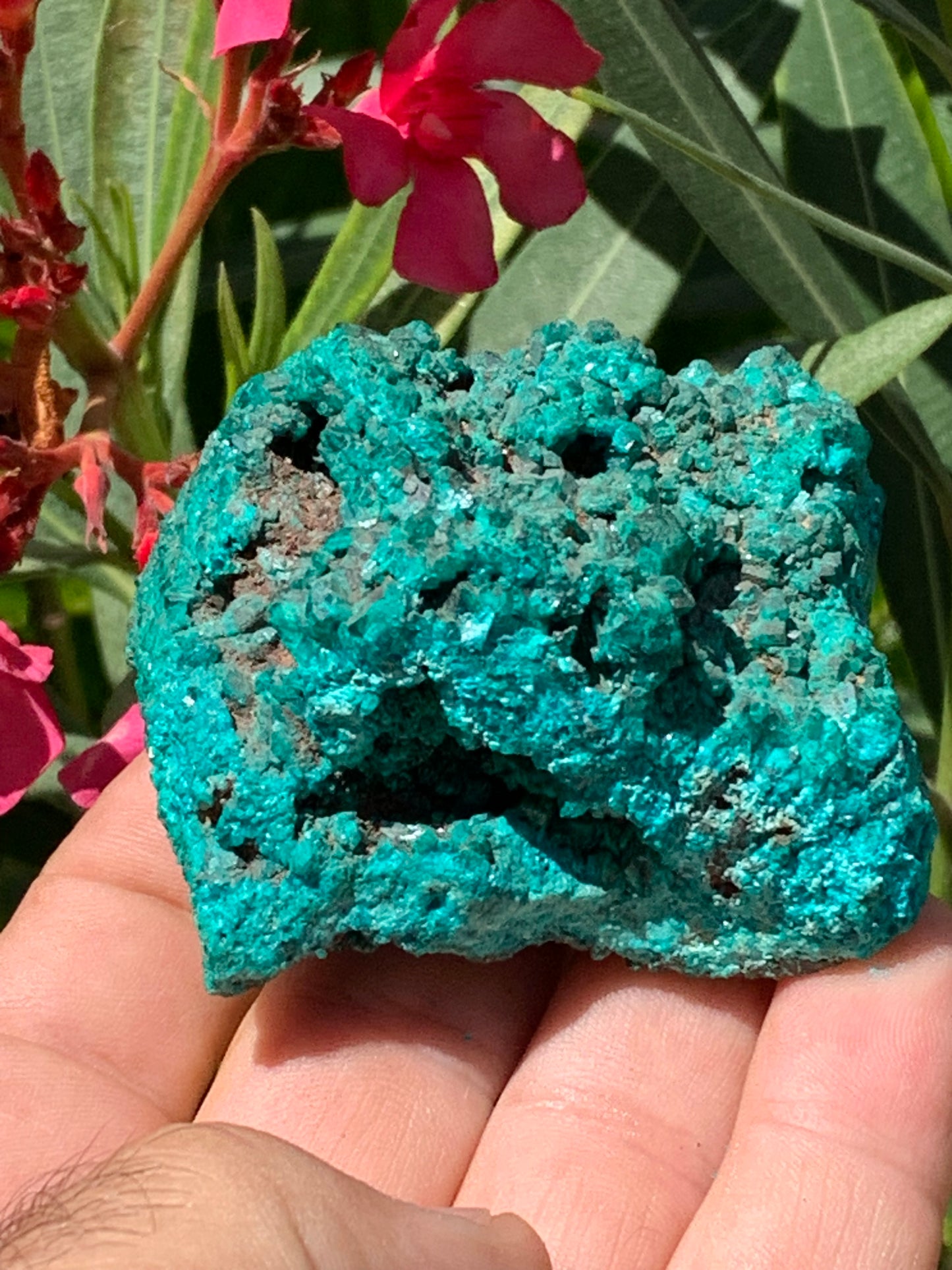 Dioptase, spécimen cristalisé de 65mm x 65 x 46 - 229,4 grammes ! Rare et puissante en minéralogie et lithothérapie !