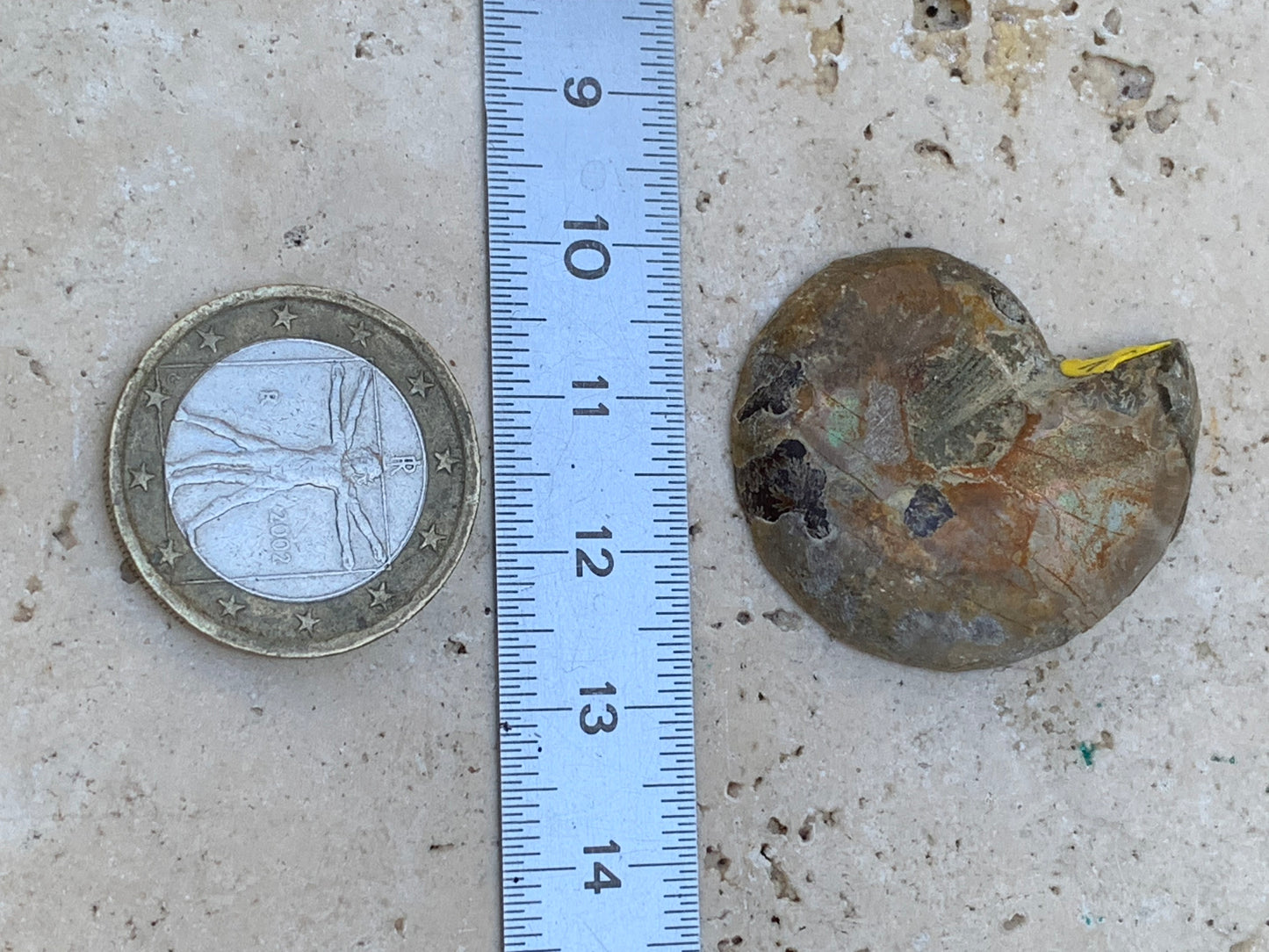 Ammonite nacrée sciée en 2, médaillon de 33mm x 28 x 9 - 9,9 grammes. Parfait pour collection, exposition...