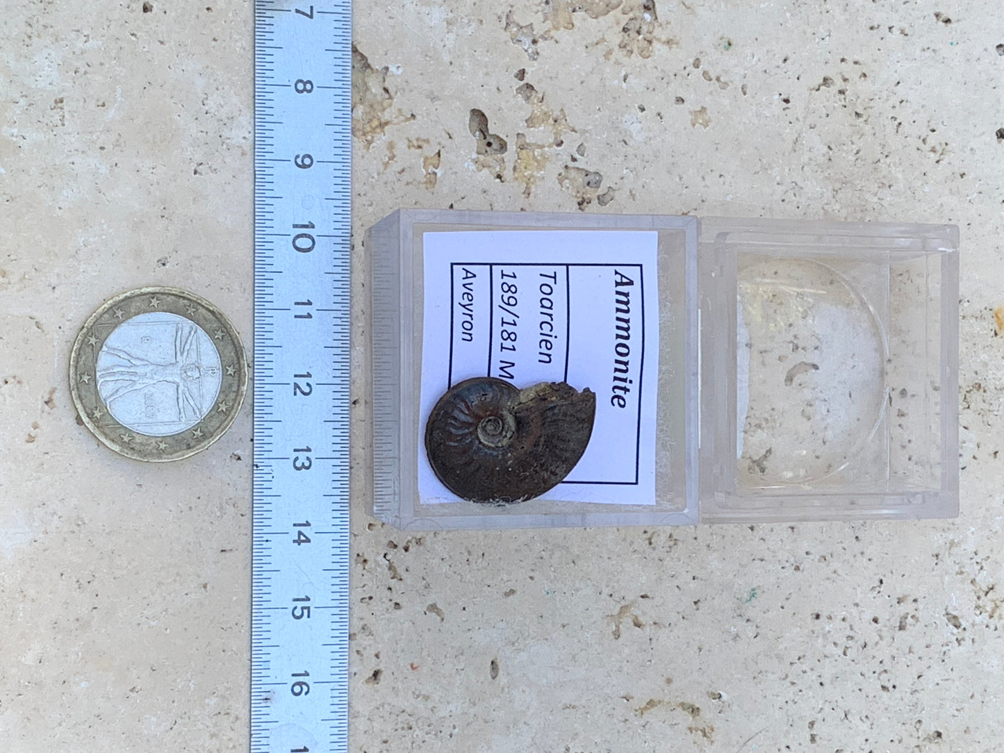 Ammonite pyritisé de France (Aveyron), de 22mm x 19 x 6 - 4,8 grammes. Parfait pour collection, exposition... Vendu avec boßte loupe de 4 x4 x4cm !