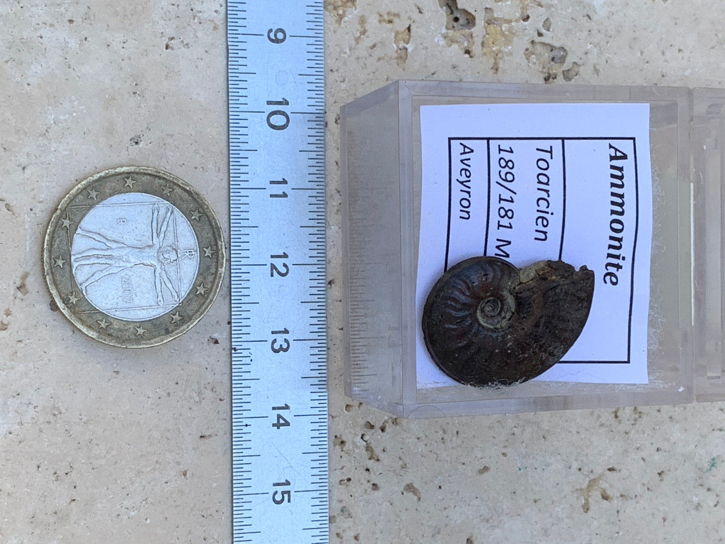 Ammonite pyritisé de France (Aveyron), de 22mm x 19 x 6 - 4,8 grammes. Parfait pour collection, exposition... Vendu avec boßte loupe de 4 x4 x4cm !