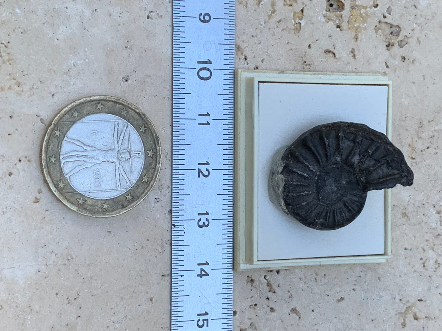 Ammonite pyritisé de France (Aveyron), de 26mm x 20 x 10 - 8,5 grammes. Parfait pour collection, exposition... Vendu avec boßte de 4 x3,3 x2 cm !