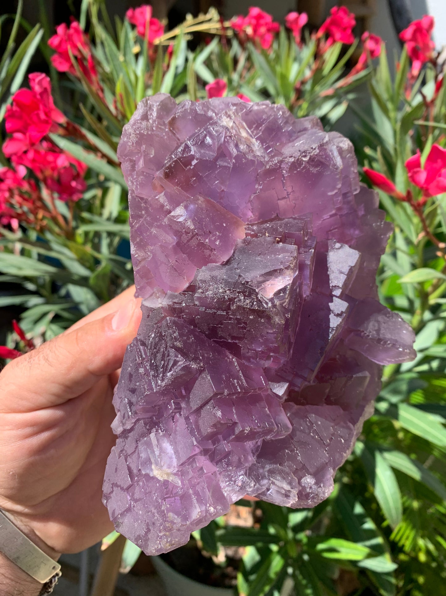 Fluorite violette, macle de gros cristaux de 15,5cm x 11,5 x 8,5 / 2240 grammes. Belle qualité, magnifique pièce !