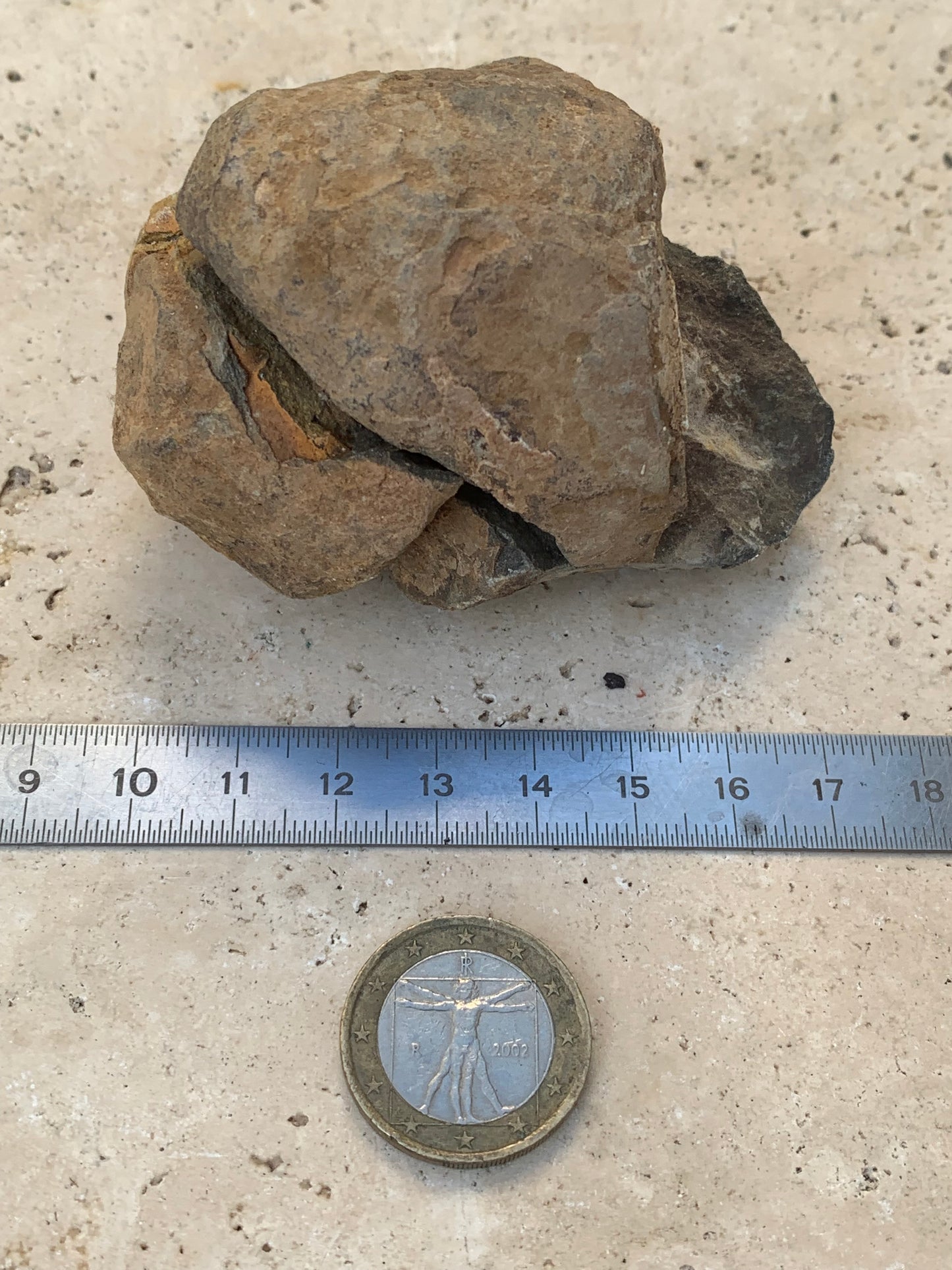 Trilobites Phacops, fossile en 2 moitiés de 76 mm x 55 x 42 - 161,5 grammes. Parfait pour collection, exposition...