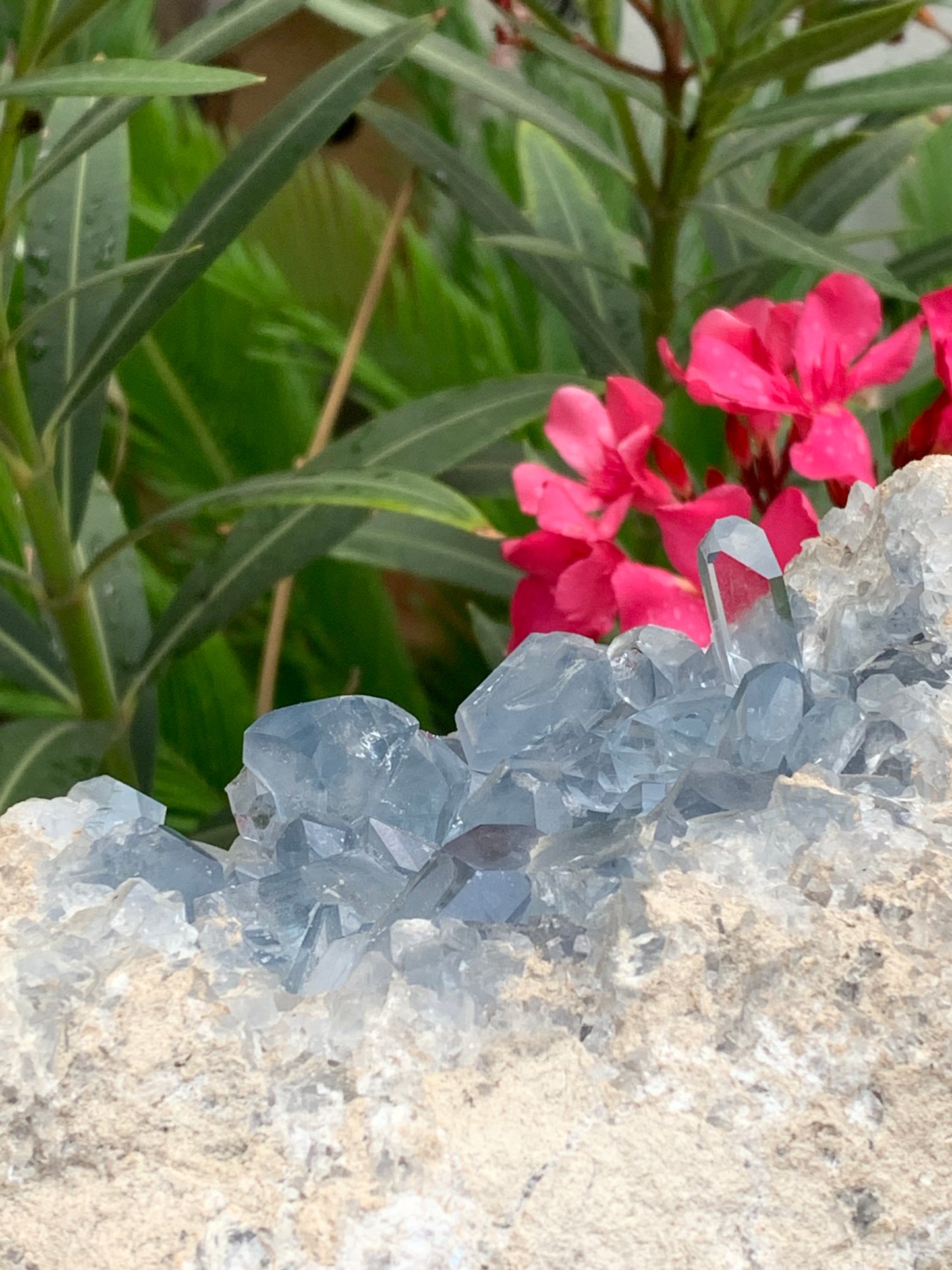 Célestite/ Célestine ou Quartz Bleu, géode de 2,274 kilogrammes, 17 x 10,3 x 9,5 centimètres. Superbe qualité, parfait pour vos collections, expositions...