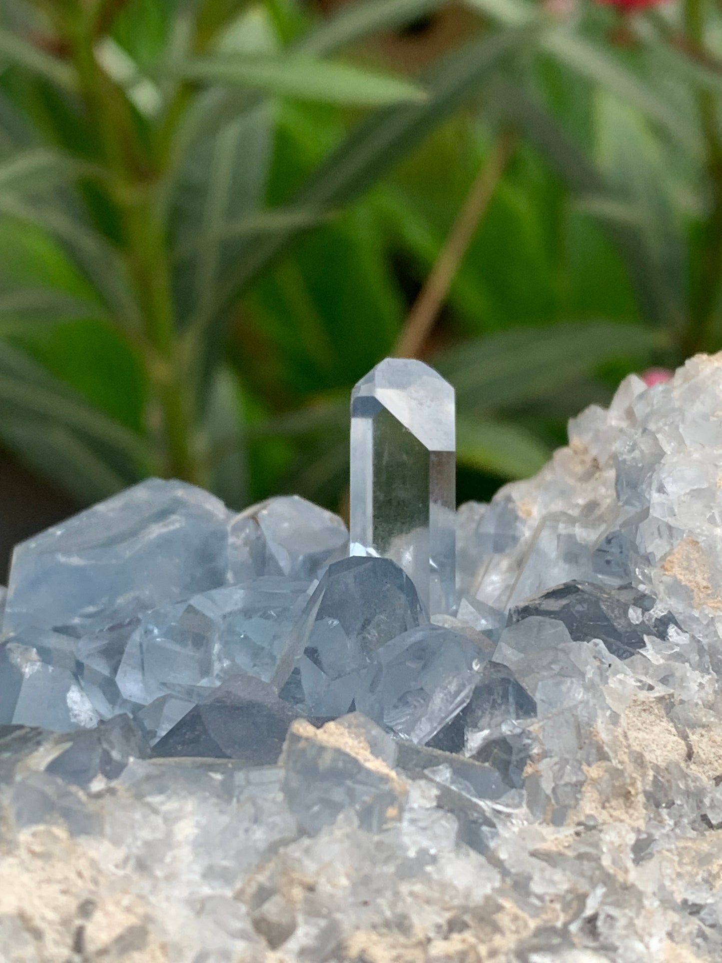 Célestite/ Célestine ou Quartz Bleu, géode de 2,274 kilogrammes, 17 x 10,3 x 9,5 centimètres. Superbe qualité, parfait pour vos collections, expositions...