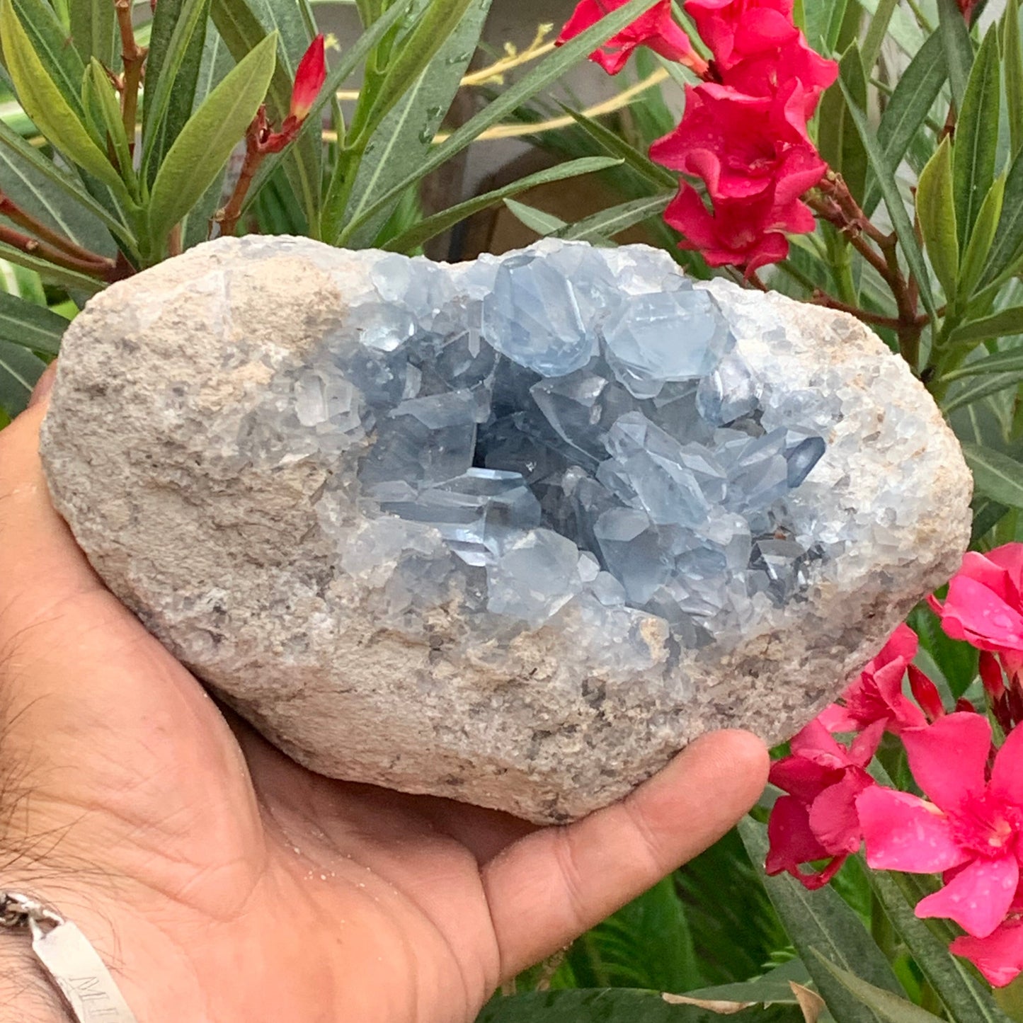 Célestite/ Célestine ou Quartz Bleu, géode de 2,274 kilogrammes, 17 x 10,3 x 9,5 centimètres. Superbe qualité, parfait pour vos collections, expositions...