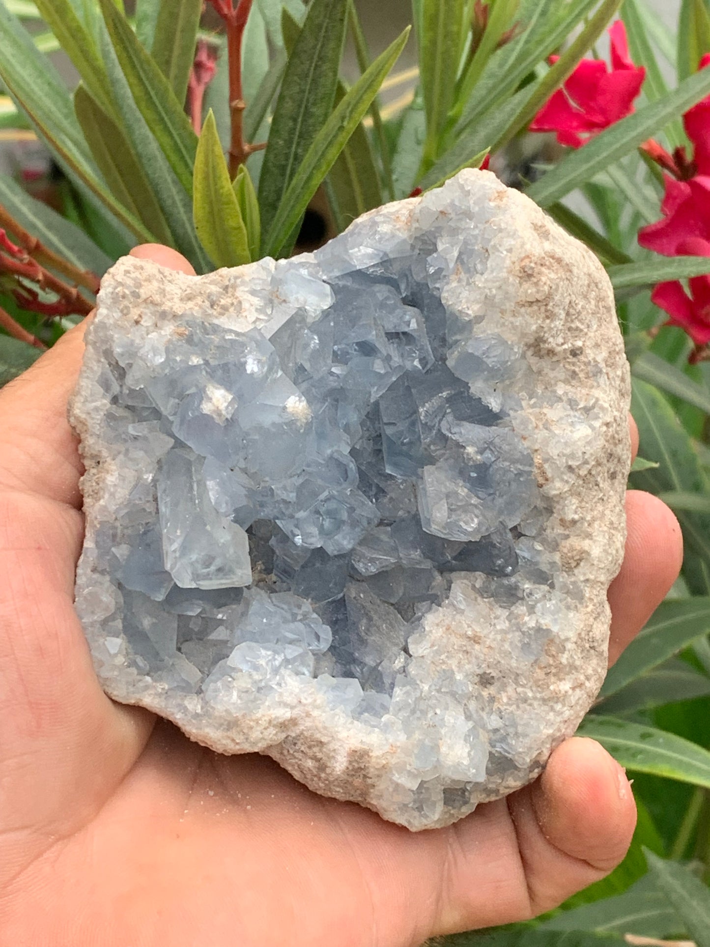 Célestite/ Célestine ou Quartz Bleu, géode de 817 grammes, 105 x 95 x 60 millimètres. Superbe qualité, parfait pour vos collections, expositions...