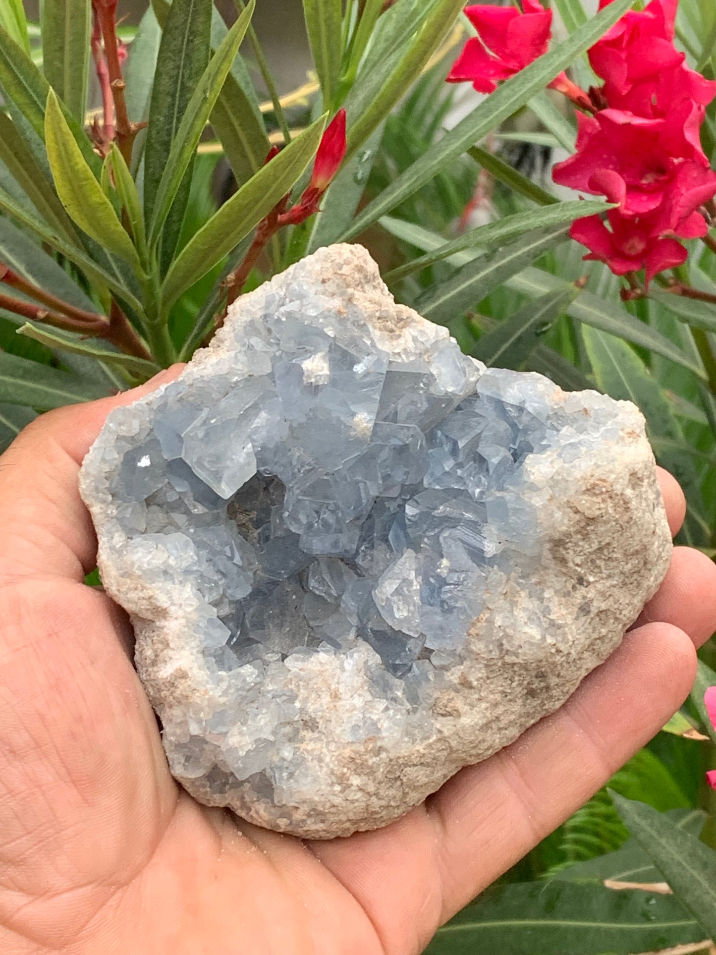 Célestite/ Célestine ou Quartz Bleu, géode de 817 grammes, 105 x 95 x 60 millimètres. Superbe qualité, parfait pour vos collections, expositions...