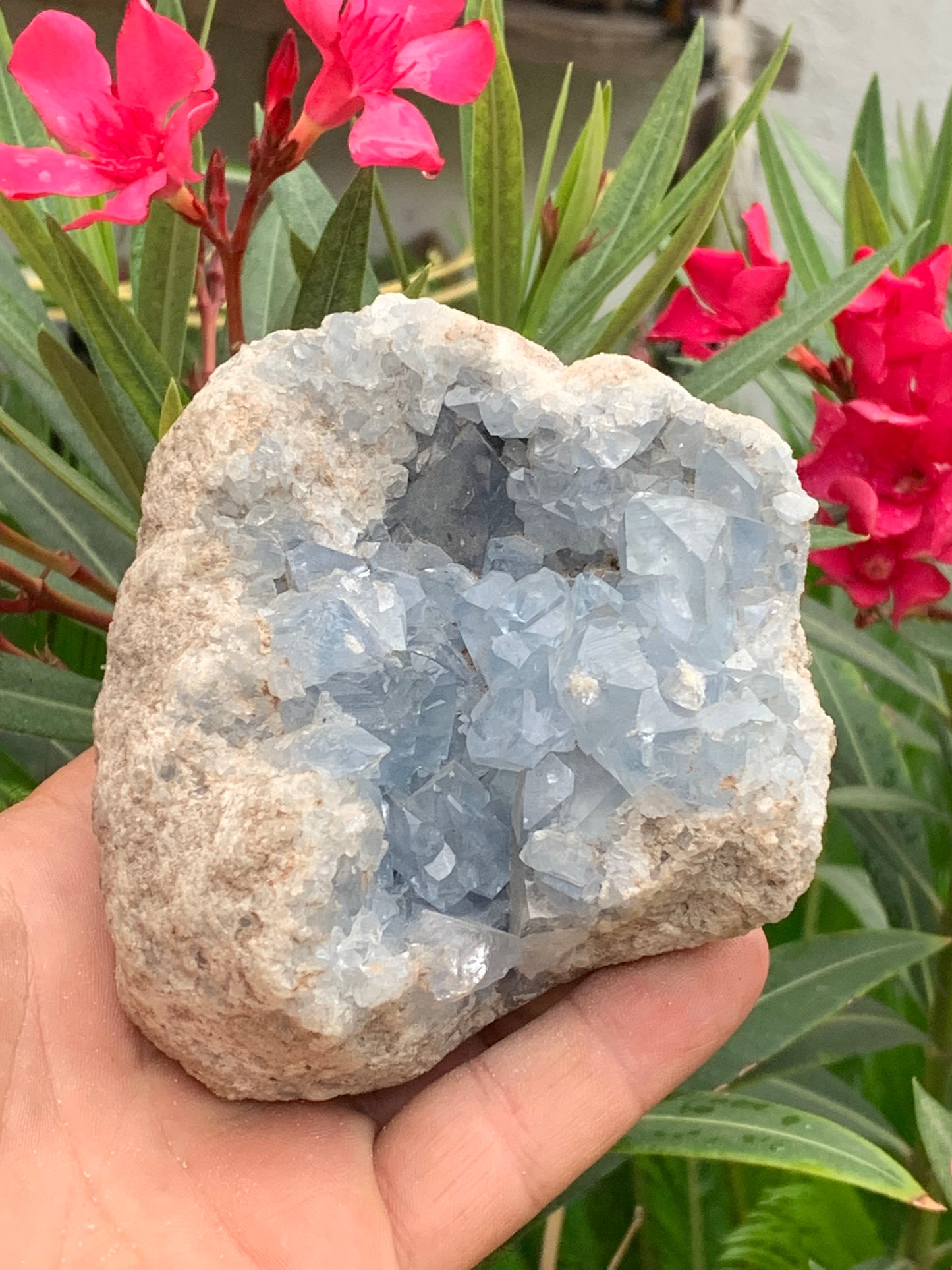 Célestite/ Célestine ou Quartz Bleu, géode de 817 grammes, 105 x 95 x 60 millimètres. Superbe qualité, parfait pour vos collections, expositions...