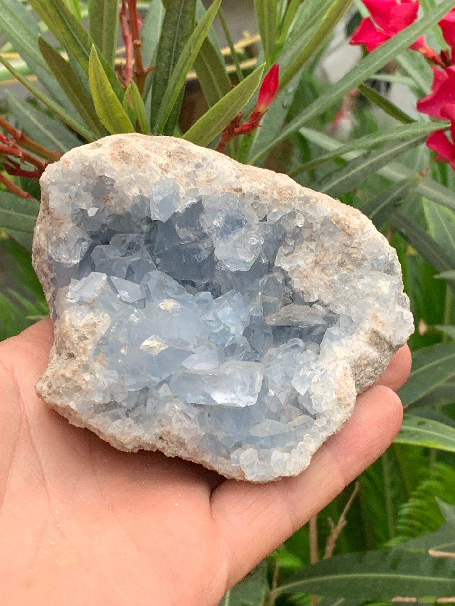 Célestite/ Célestine ou Quartz Bleu, géode de 817 grammes, 105 x 95 x 60 millimètres. Superbe qualité, parfait pour vos collections, expositions...