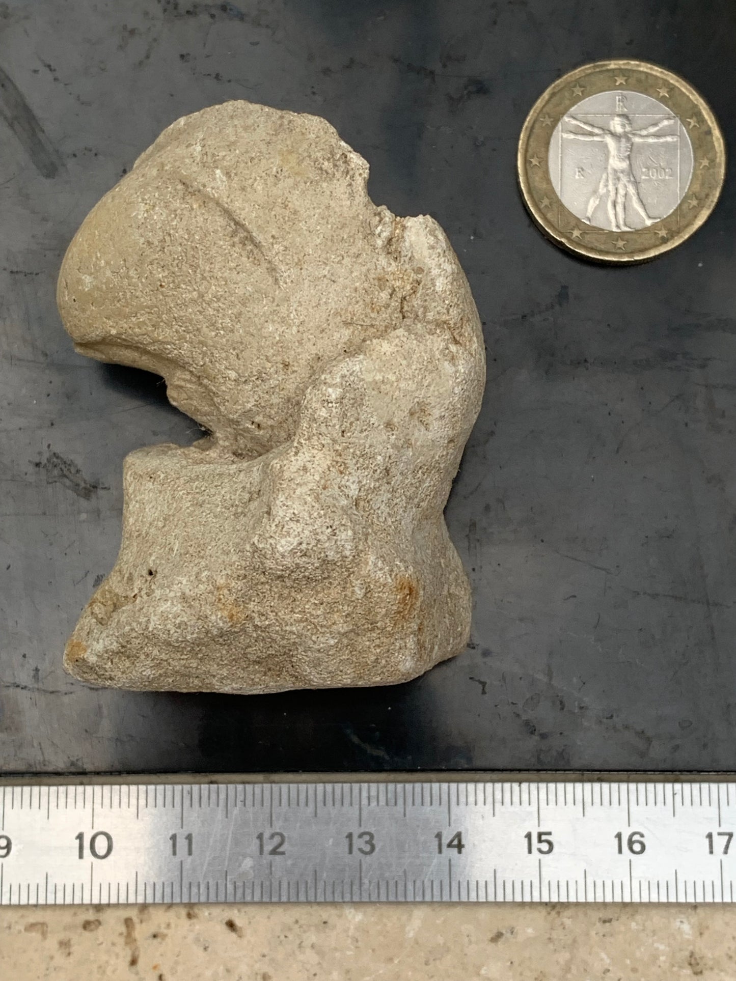Dent fossile en calcaire, de 58mm x47 x36 / 85,9 grammes. Parfait pour étude, collection ou exposition..