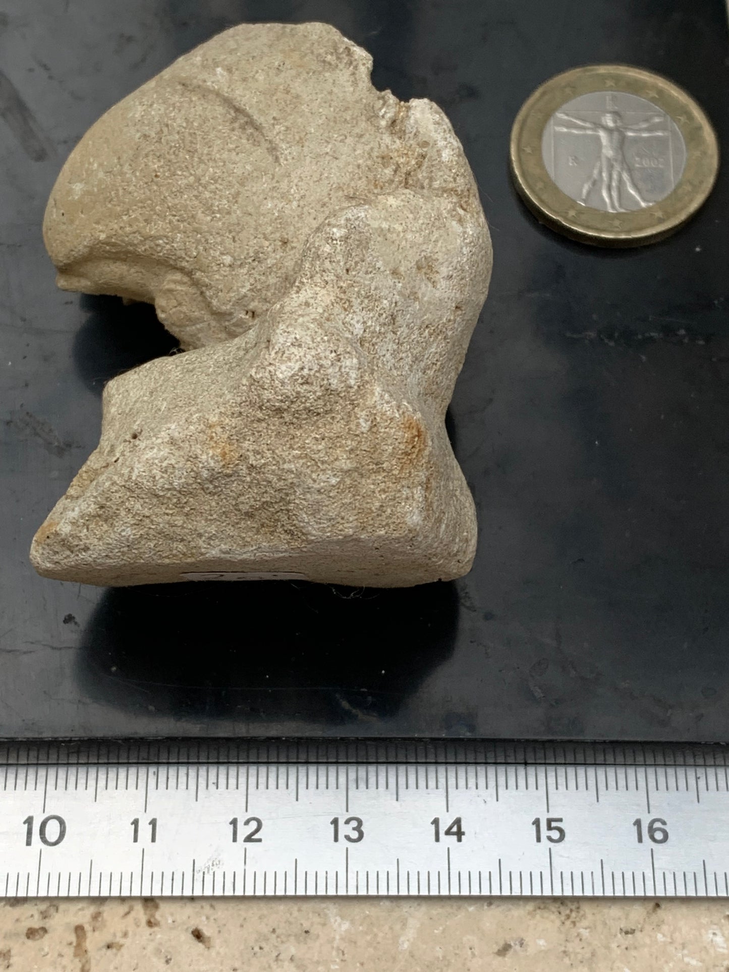 Dent fossile en calcaire, de 58mm x47 x36 / 85,9 grammes. Parfait pour étude, collection ou exposition..