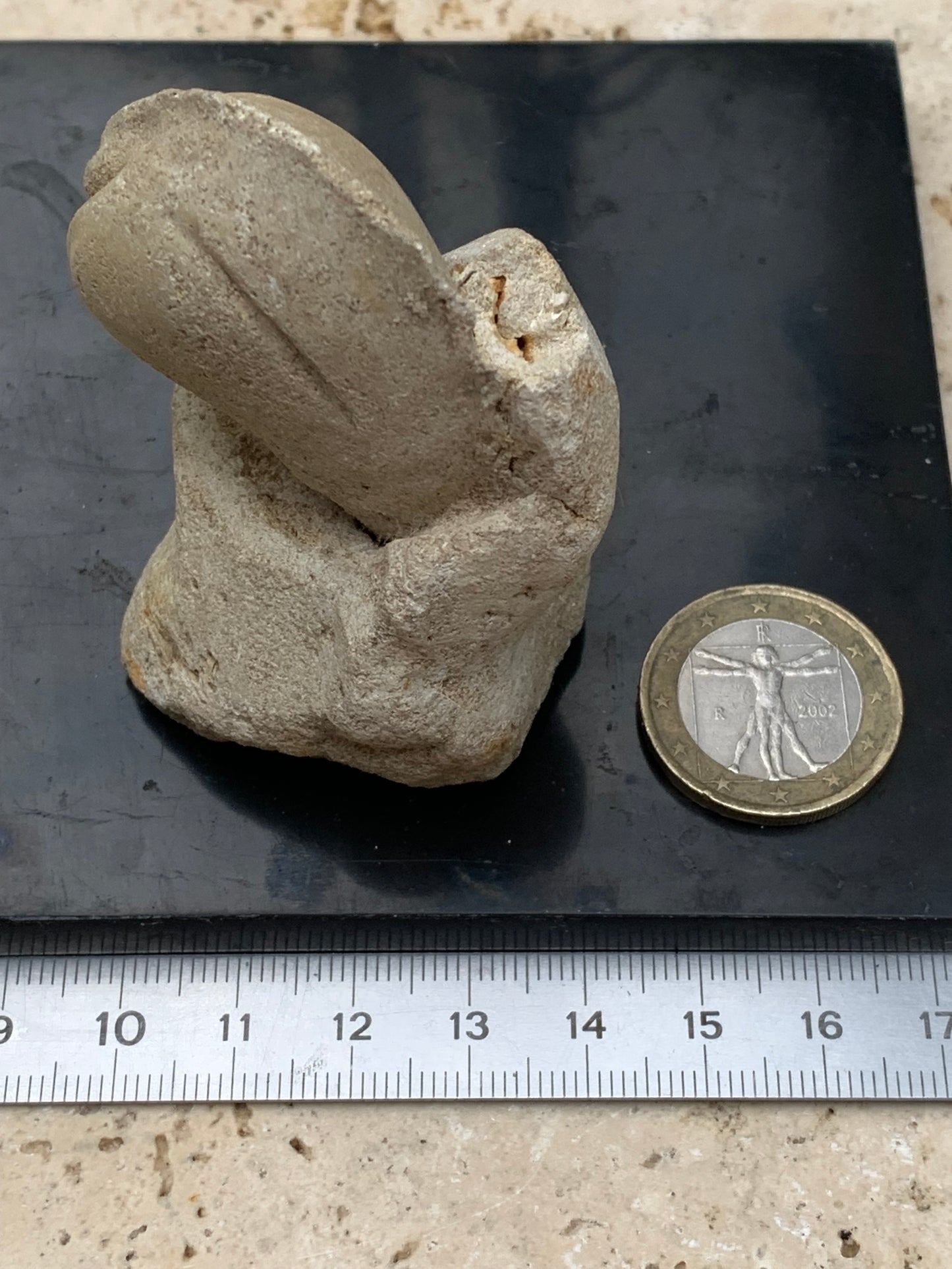 Dent fossile en calcaire, de 58mm x47 x36 / 85,9 grammes. Parfait pour étude, collection ou exposition..