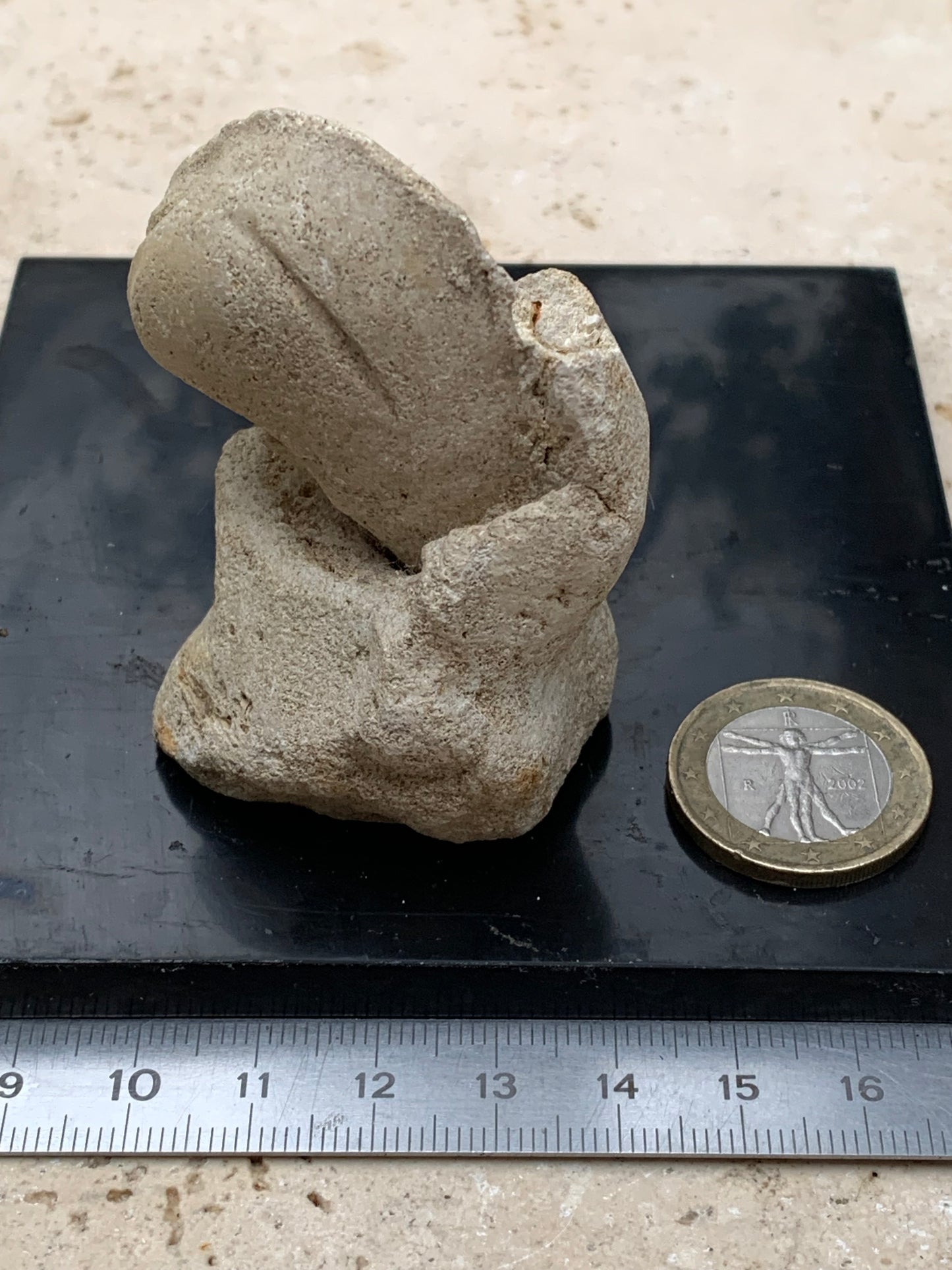 Dent fossile en calcaire, de 58mm x47 x36 / 85,9 grammes. Parfait pour étude, collection ou exposition..