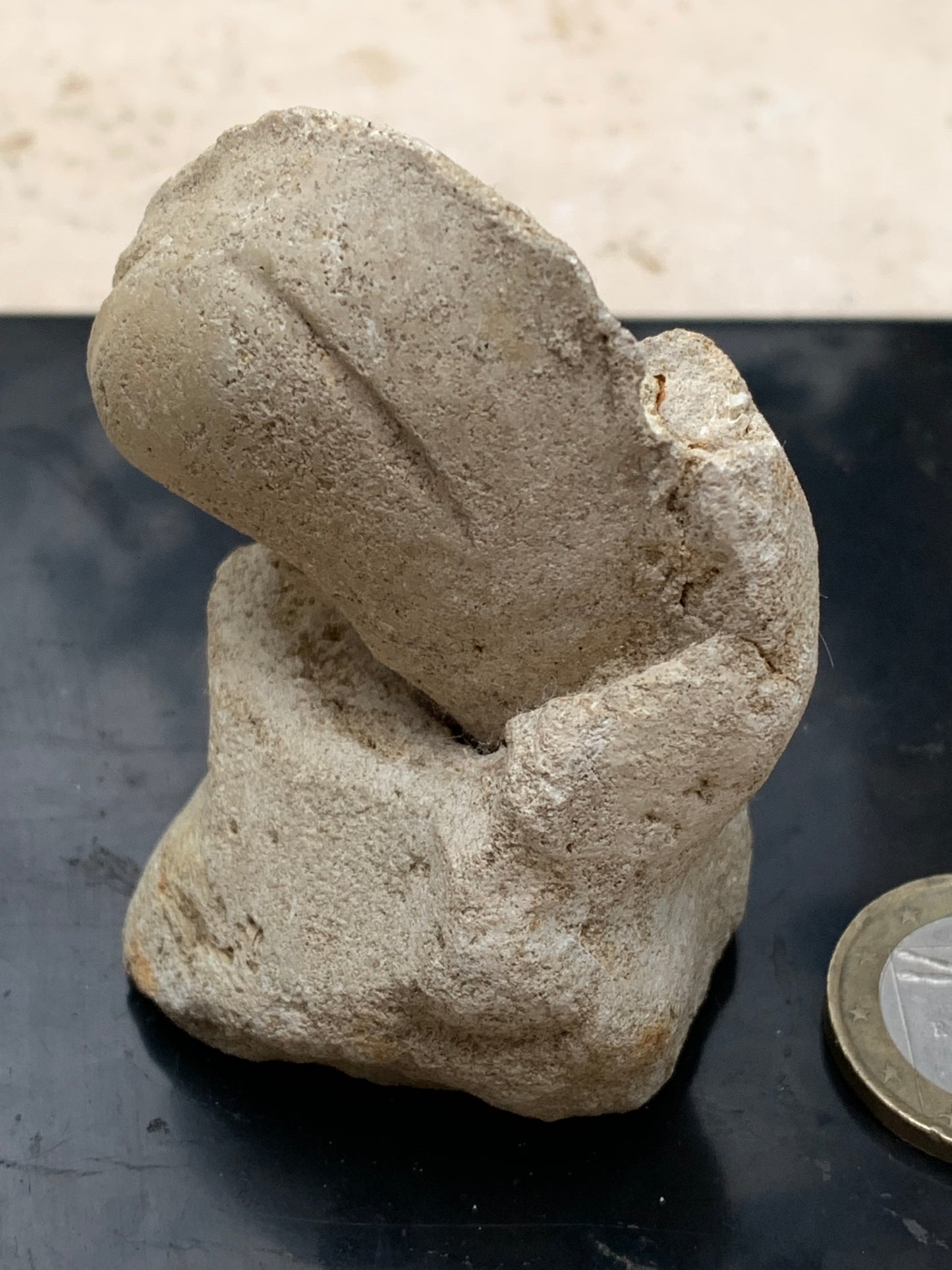 Dent fossile en calcaire, de 58mm x47 x36 / 85,9 grammes. Parfait pour étude, collection ou exposition..