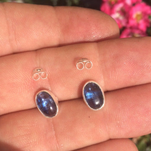 Studs/Studs/Earrings in 'Blue Kyanite' from Brazil, AA to AAA quality. 0.925 Silver finish, perfect!